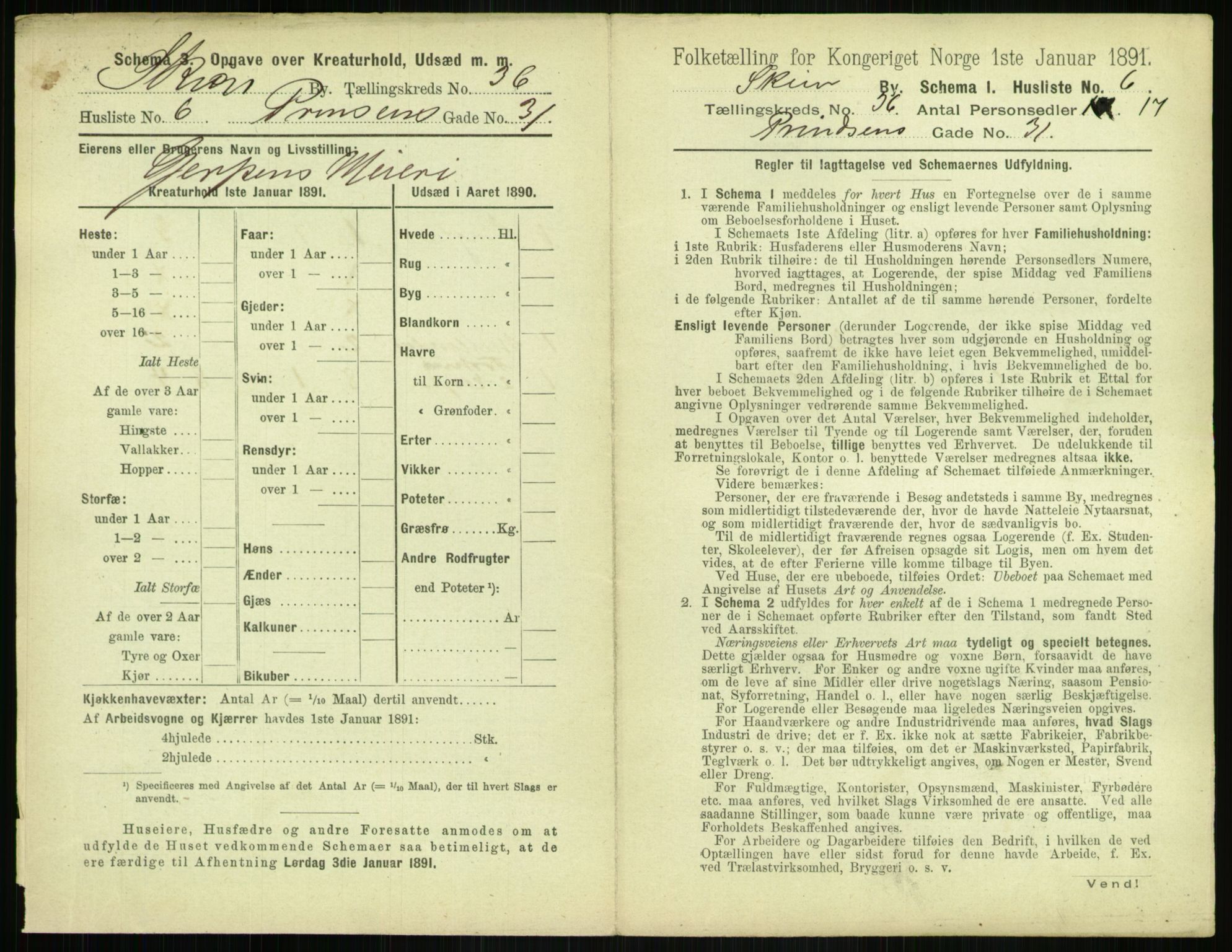 RA, 1891 census for 0806 Skien, 1891, p. 1376