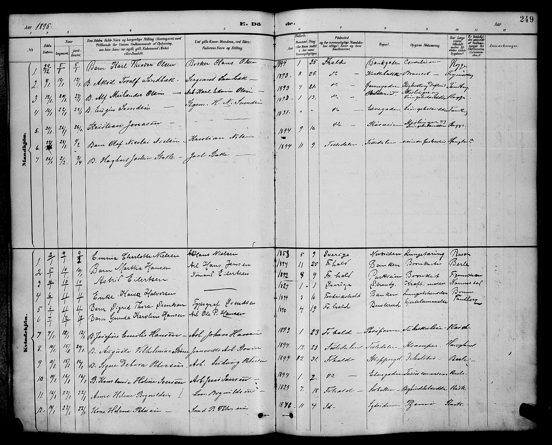 Halden prestekontor Kirkebøker, SAO/A-10909/G/Ga/L0009: Parish register (copy) no. 9, 1885-1908, p. 249