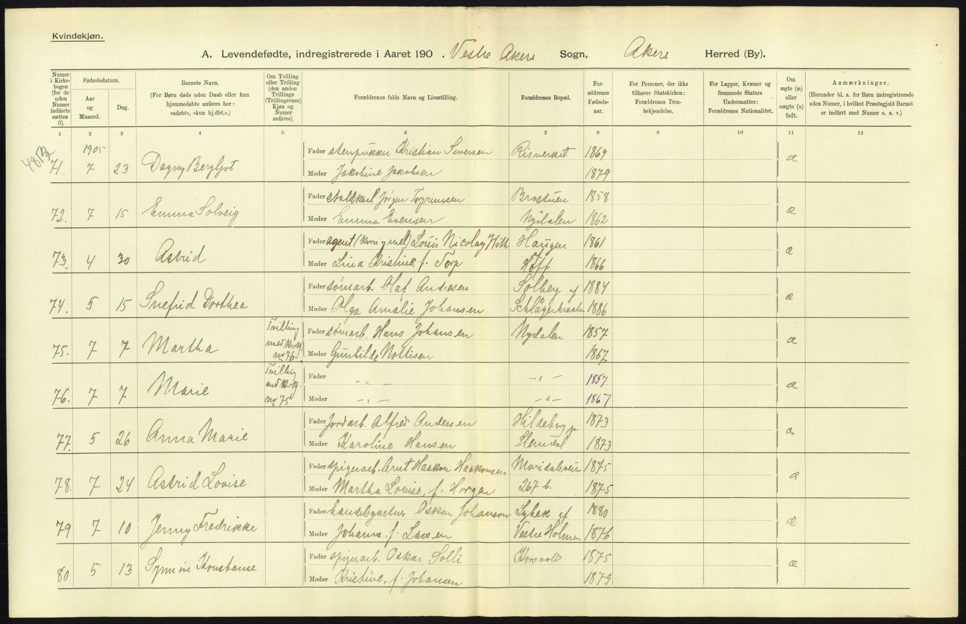 Statistisk sentralbyrå, Sosiodemografiske emner, Befolkning, RA/S-2228/D/Df/Dfa/Dfac/L0004: Akershus amt: Fødte. Bygder., 1905, p. 23