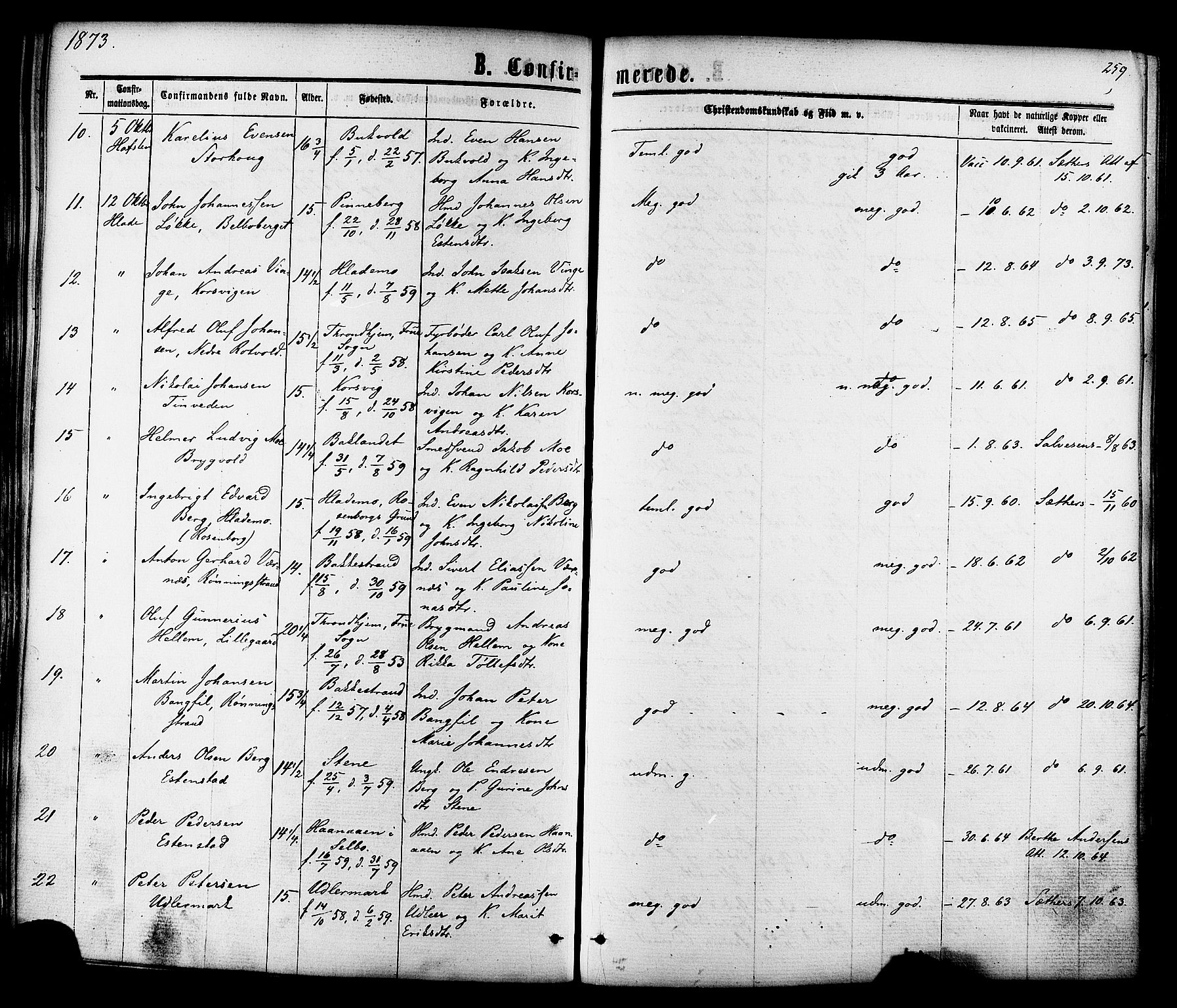 Ministerialprotokoller, klokkerbøker og fødselsregistre - Sør-Trøndelag, SAT/A-1456/606/L0293: Parish register (official) no. 606A08, 1866-1877, p. 259