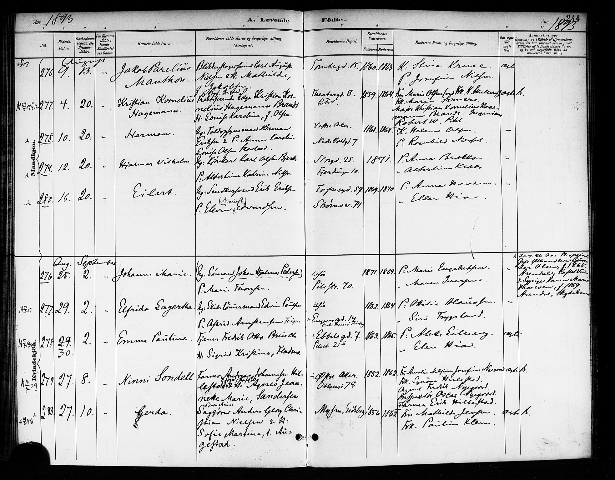 Rikshospitalet prestekontor Kirkebøker, SAO/A-10309b/F/L0008: Parish register (official) no. 8, 1890-1893, p. 244