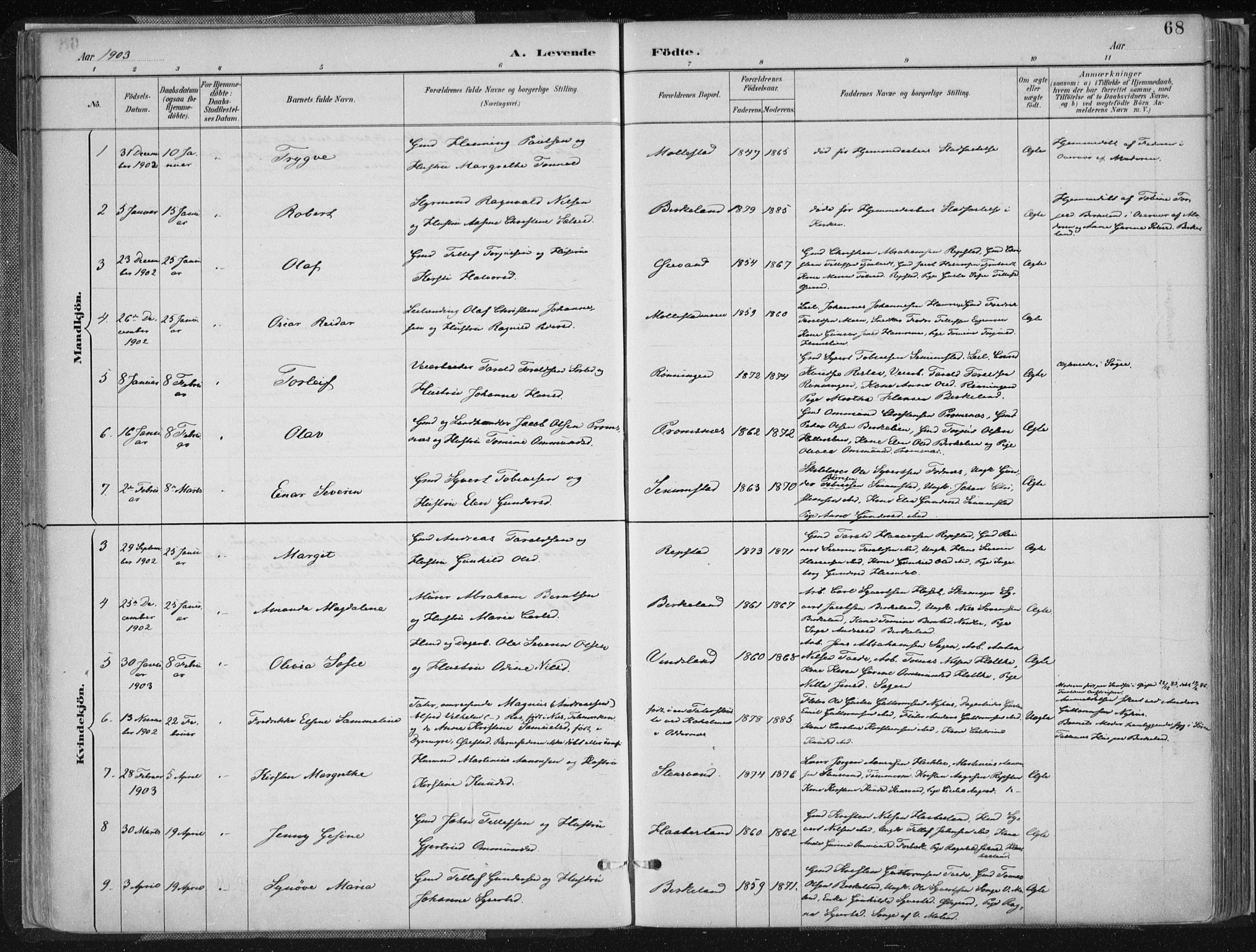 Birkenes sokneprestkontor, AV/SAK-1111-0004/F/Fa/L0005: Parish register (official) no. A 5, 1887-1907, p. 68