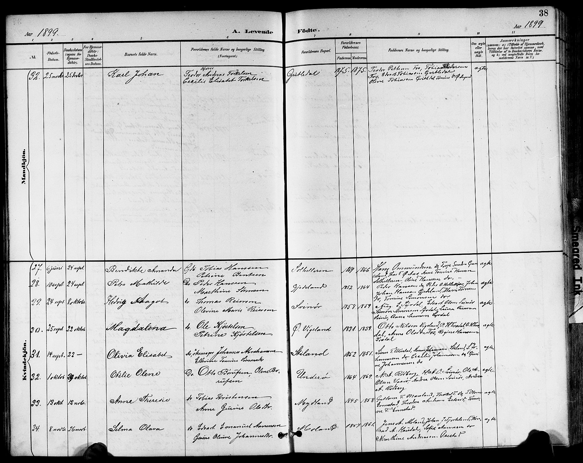 Sør-Audnedal sokneprestkontor, AV/SAK-1111-0039/F/Fb/Fbb/L0006: Parish register (copy) no. B 6, 1893-1915, p. 38