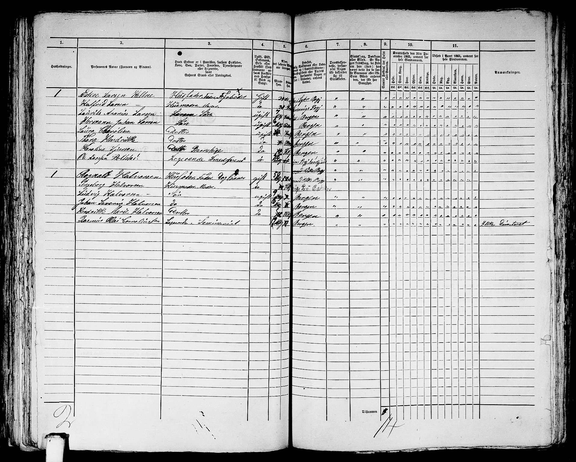 RA, 1865 census for Bergen, 1865, p. 3798