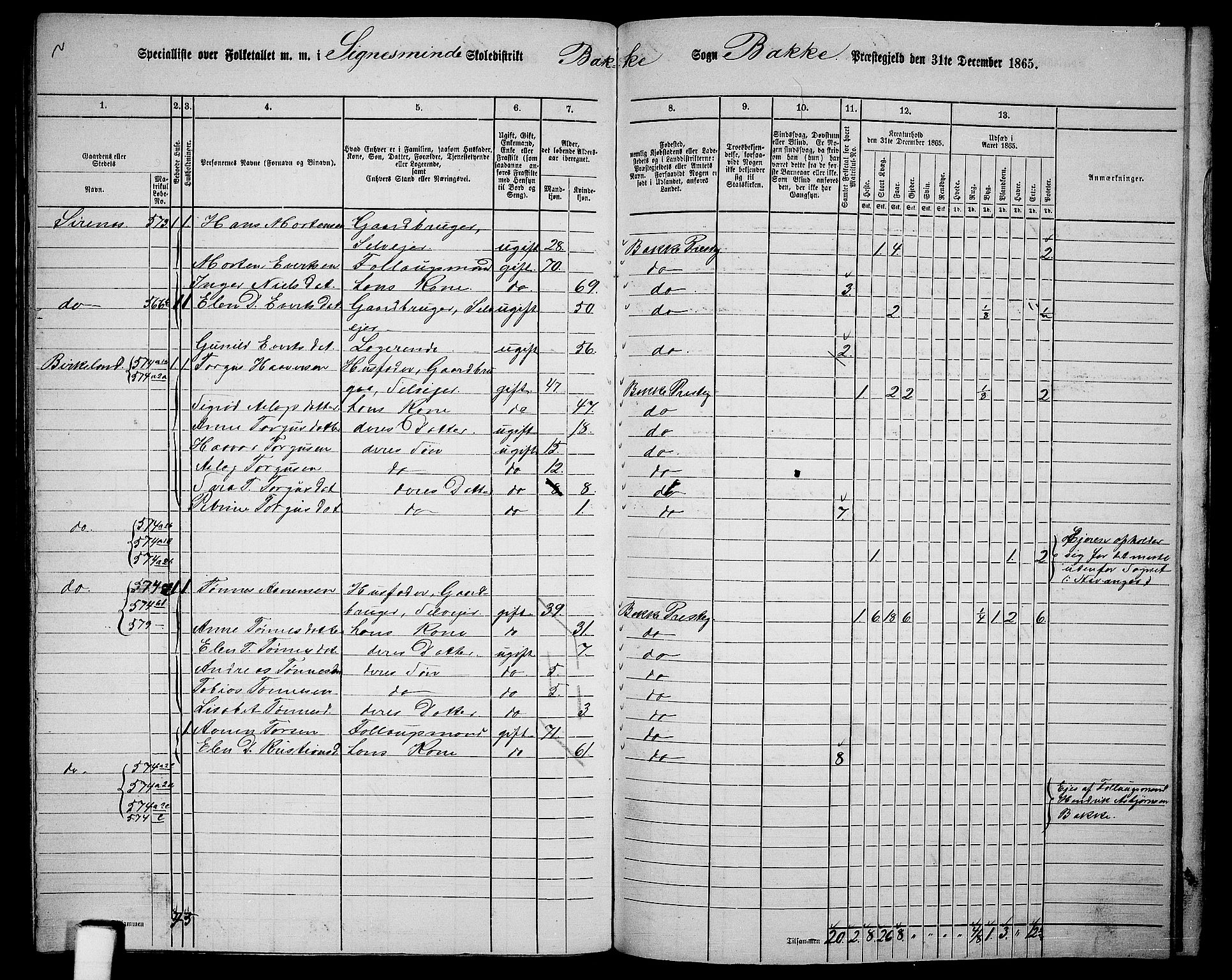 RA, 1865 census for Bakke, 1865, p. 106