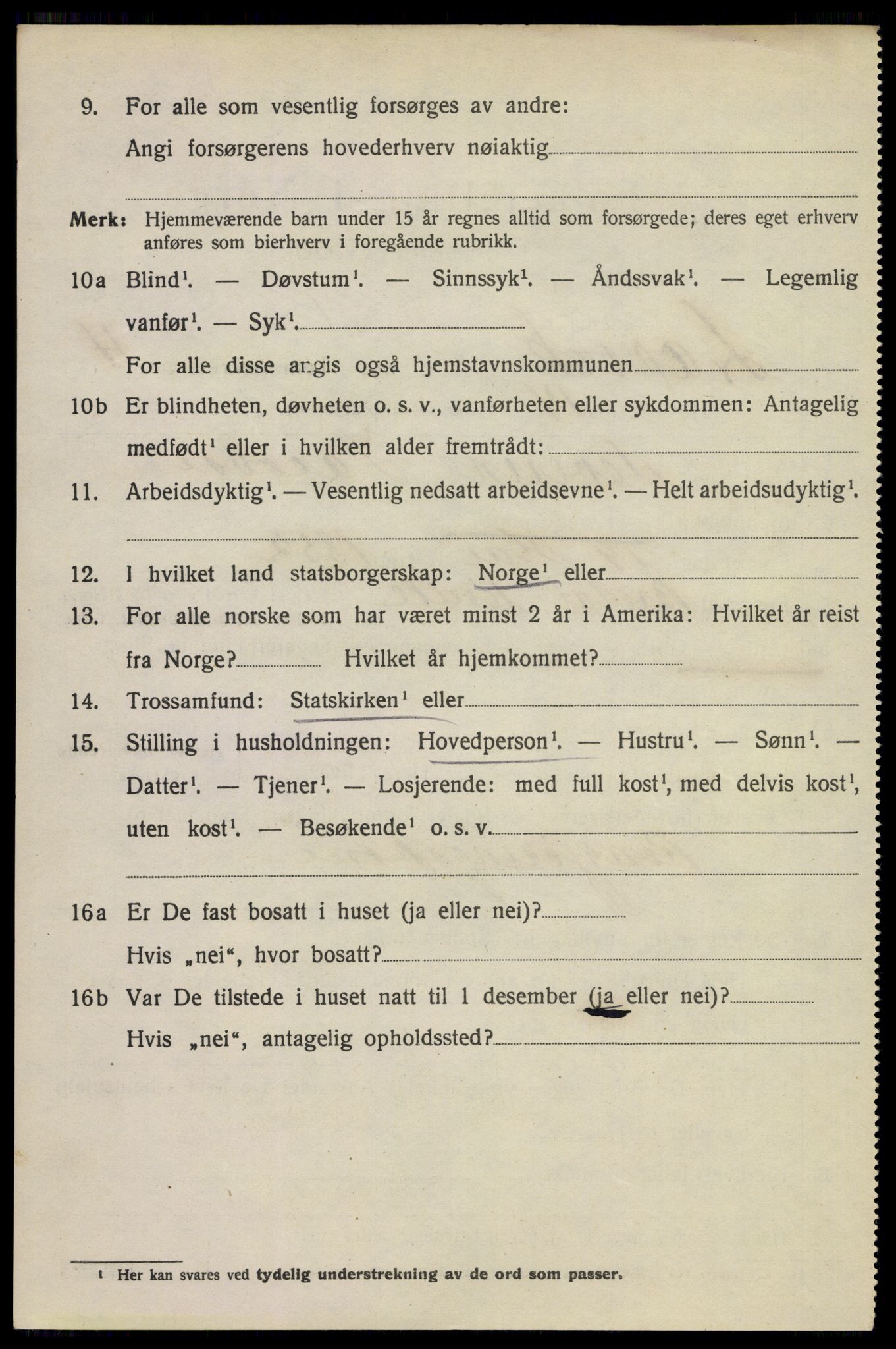 SAKO, 1920 census for Larvik, 1920, p. 13651