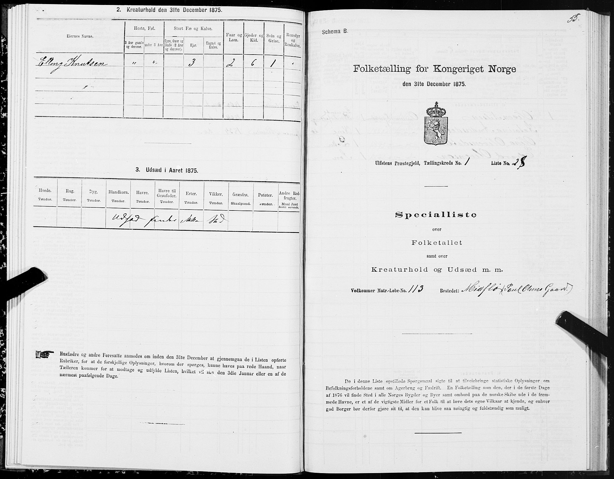 SAT, 1875 census for 1516P Ulstein, 1875, p. 1055