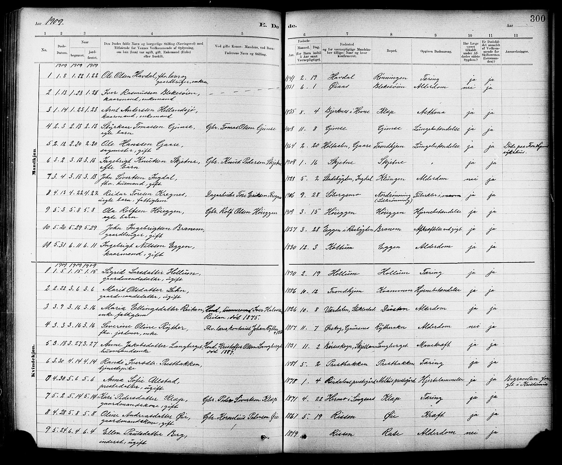 Ministerialprotokoller, klokkerbøker og fødselsregistre - Sør-Trøndelag, SAT/A-1456/691/L1094: Parish register (copy) no. 691C05, 1879-1911, p. 300