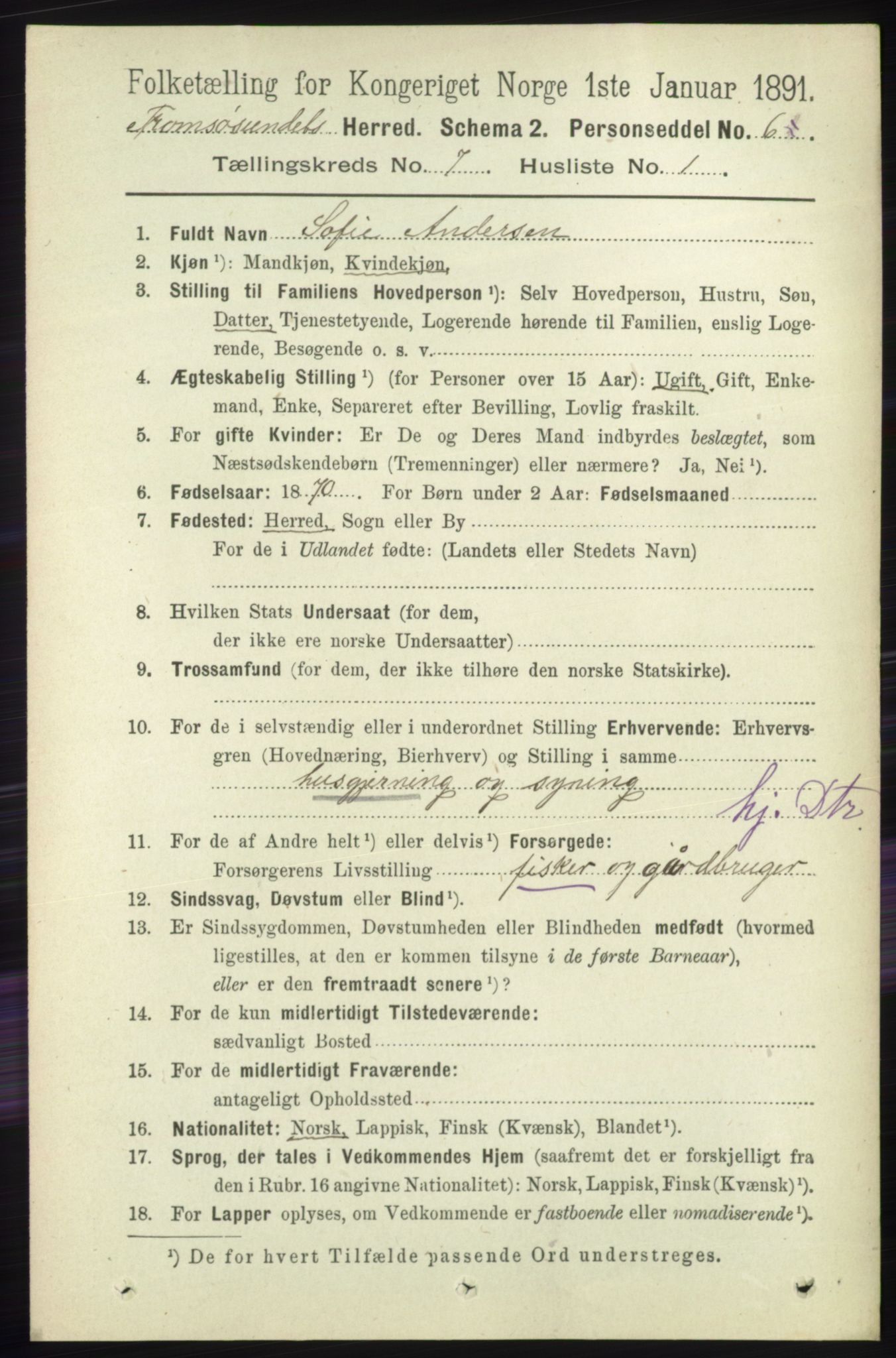 RA, 1891 census for 1934 Tromsøysund, 1891, p. 3725