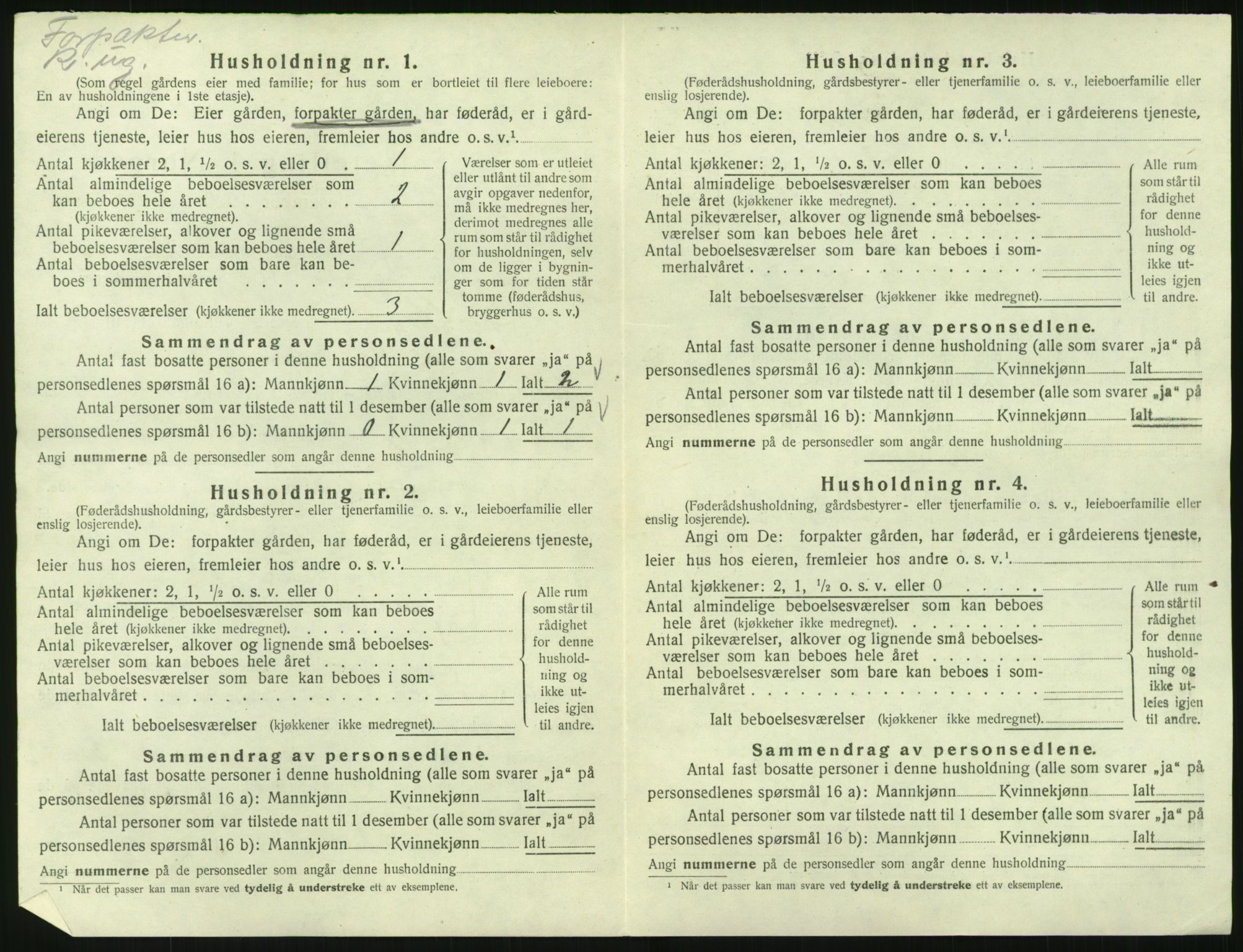 SAK, 1920 census for Øyslebø, 1920, p. 453