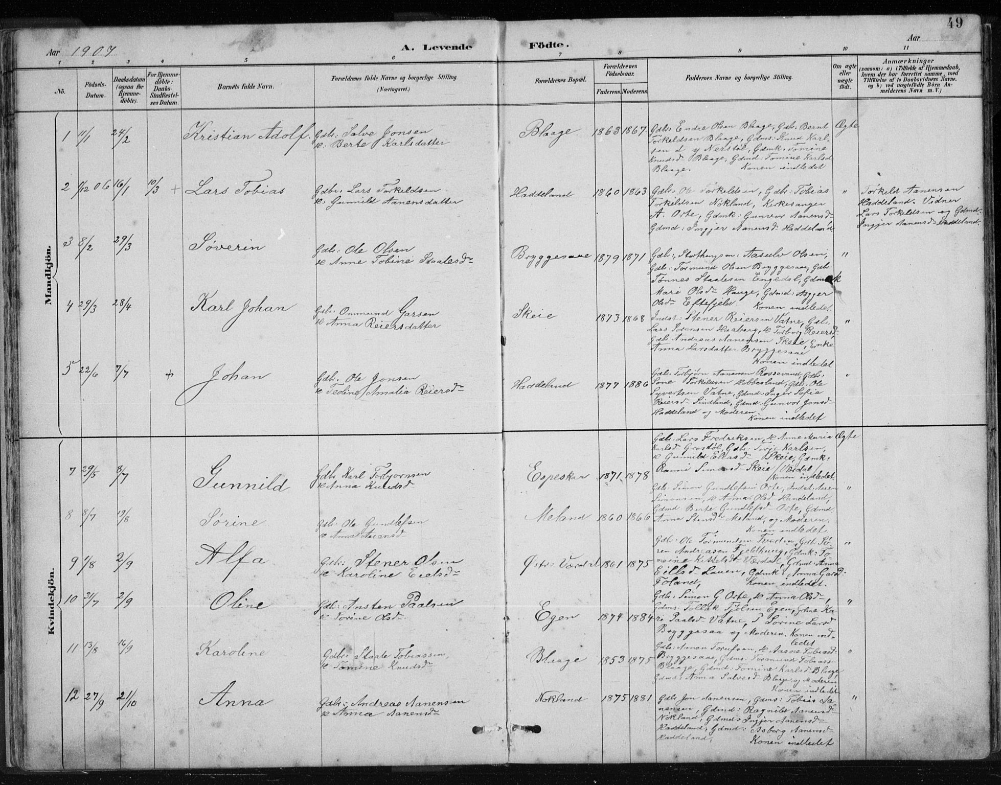 Hægebostad sokneprestkontor, AV/SAK-1111-0024/F/Fb/Fbb/L0003: Parish register (copy) no. B 3, 1887-1937, p. 49