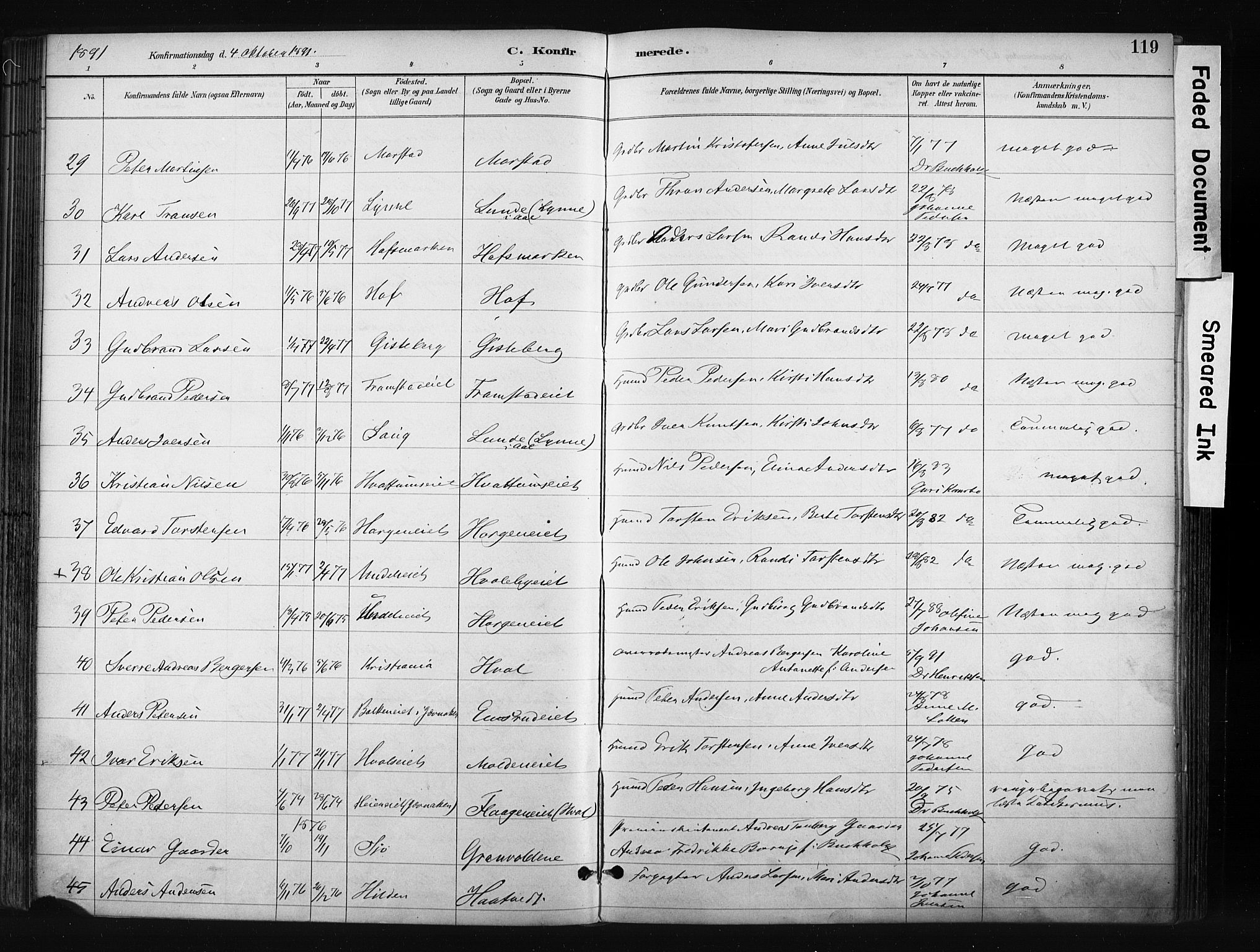 Gran prestekontor, AV/SAH-PREST-112/H/Ha/Haa/L0017: Parish register (official) no. 17, 1889-1897, p. 119