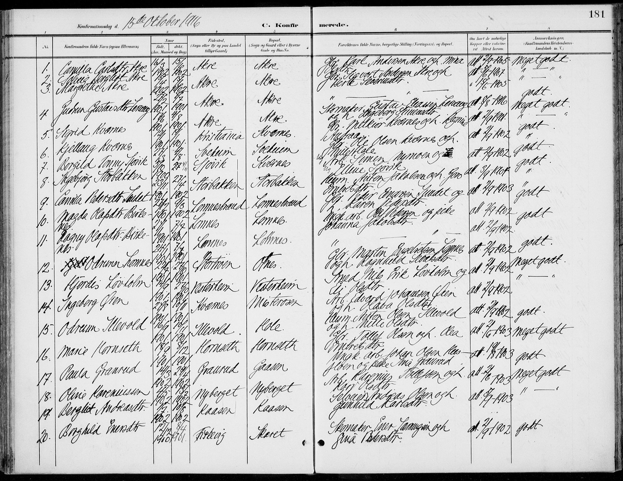 Rendalen prestekontor, SAH/PREST-054/H/Ha/Haa/L0011: Parish register (official) no. 11, 1901-1925, p. 181