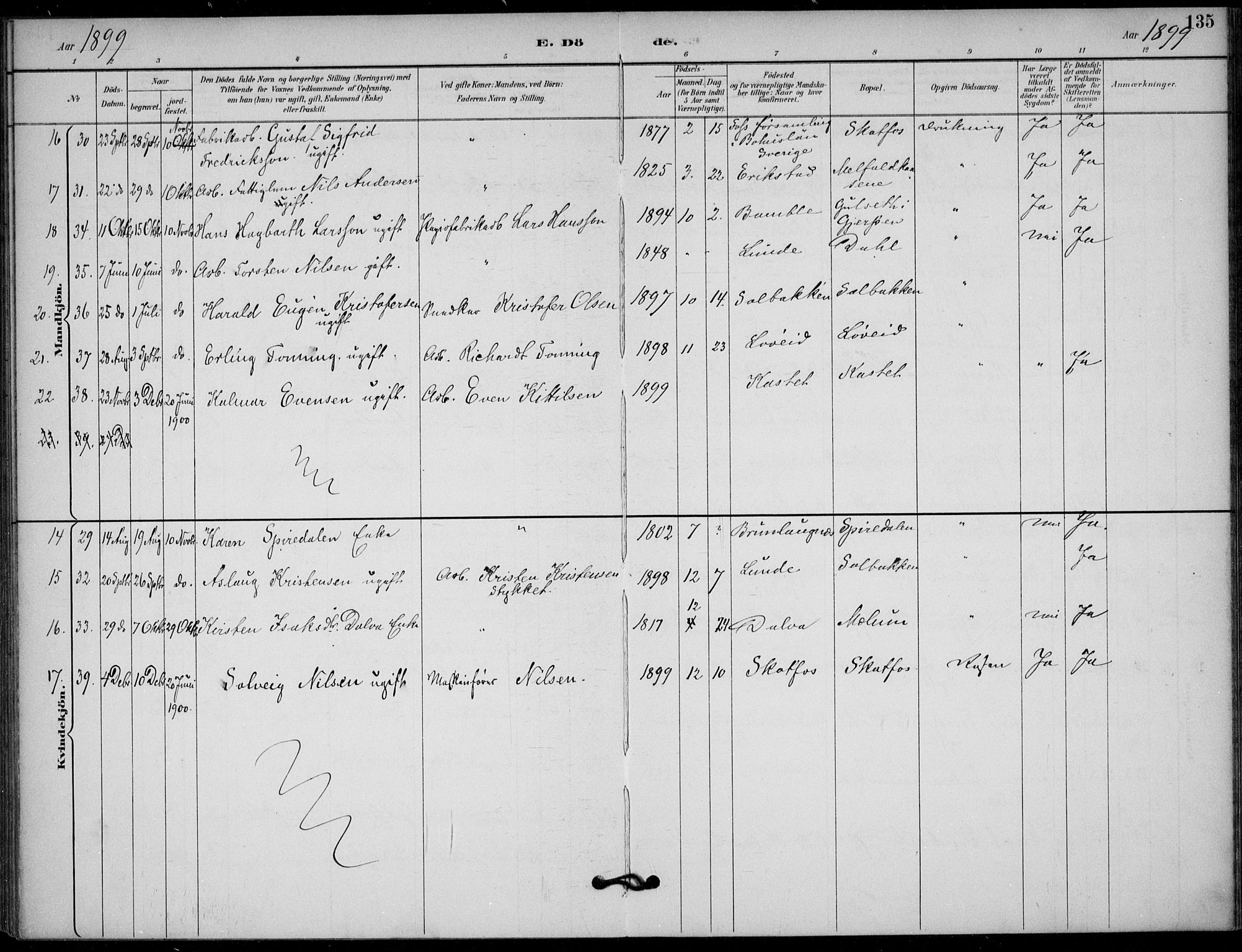 Solum kirkebøker, SAKO/A-306/F/Fb/L0002: Parish register (official) no. II 2, 1893-1901, p. 135