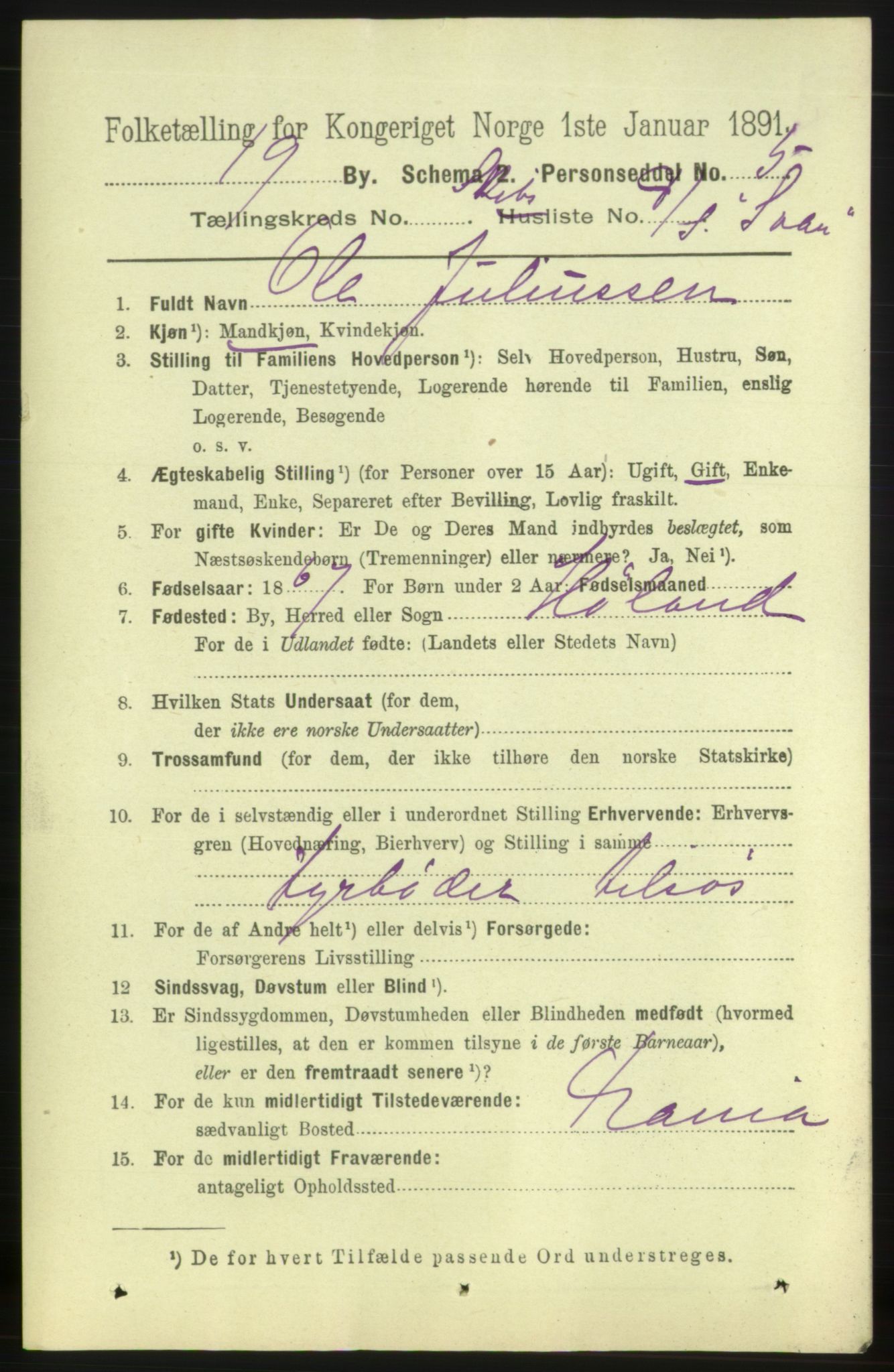 RA, 1891 census for 0702 Holmestrand, 1891, p. 2983