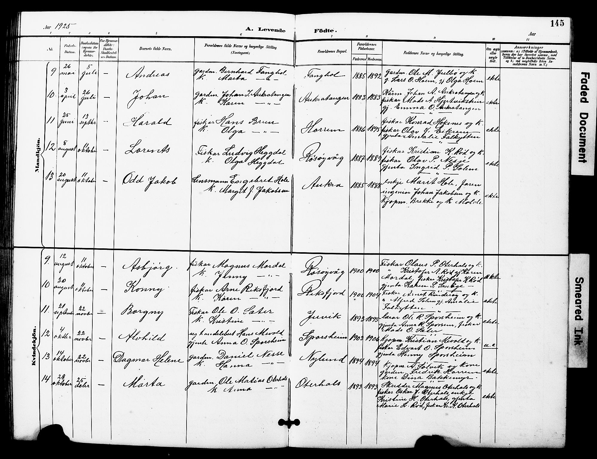 Ministerialprotokoller, klokkerbøker og fødselsregistre - Møre og Romsdal, AV/SAT-A-1454/560/L0725: Parish register (copy) no. 560C02, 1895-1930, p. 145