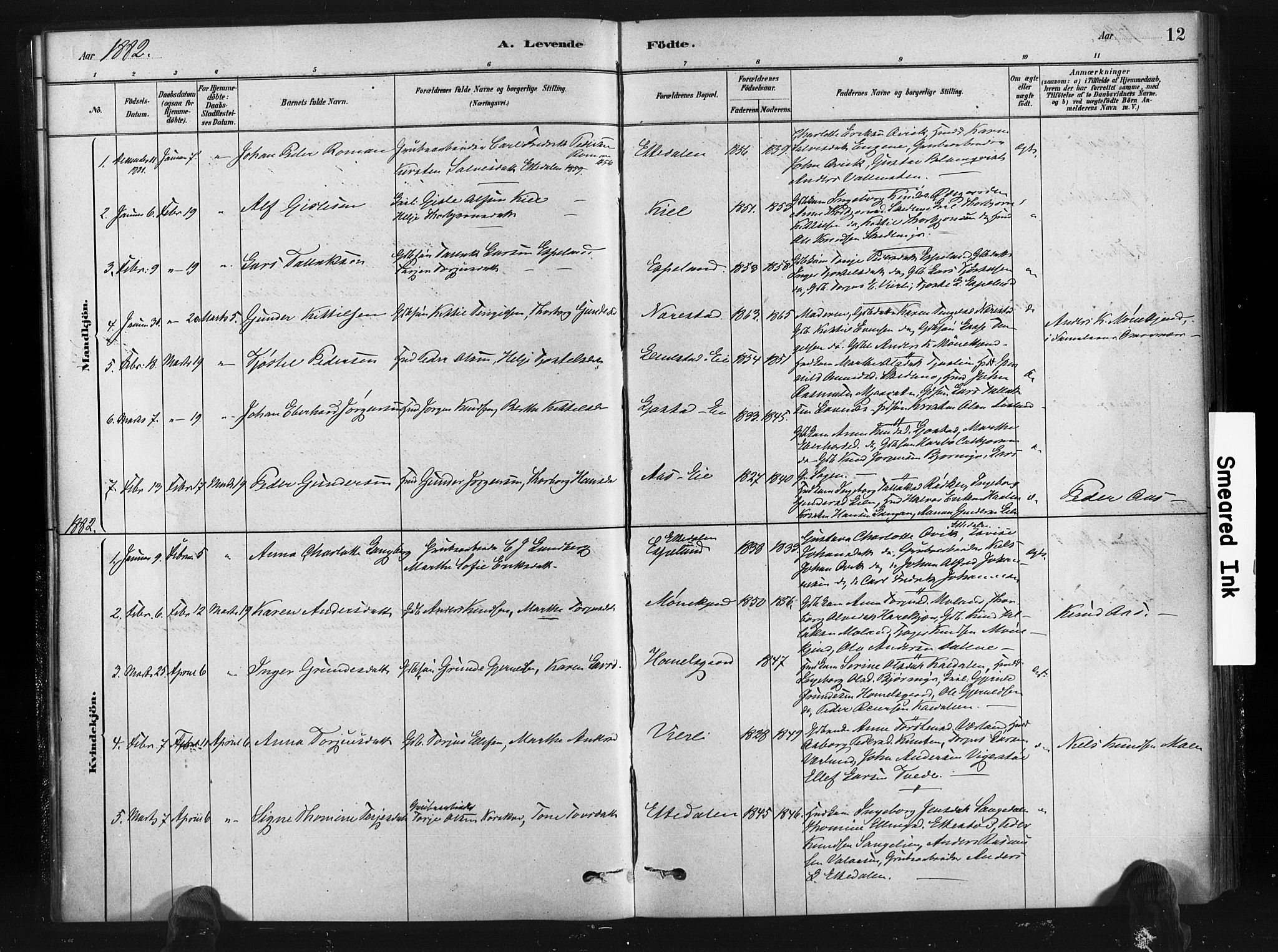 Gjerstad sokneprestkontor, SAK/1111-0014/F/Fa/Fab/L0004: Parish register (official) no. A 4, 1879-1890, p. 12
