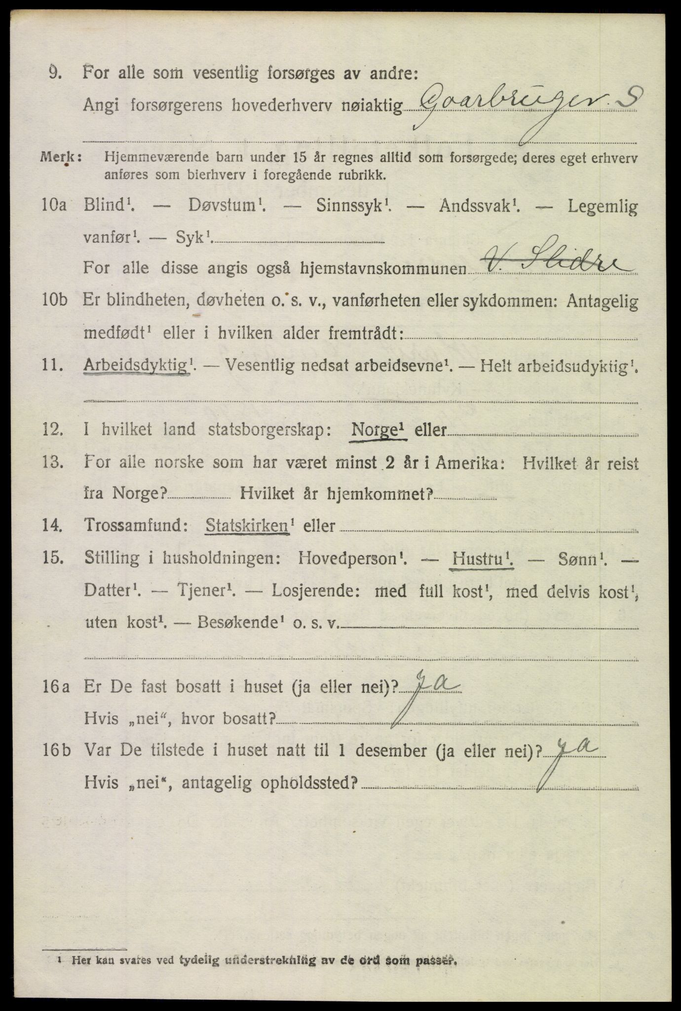 SAH, 1920 census for Vestre Slidre, 1920, p. 2629