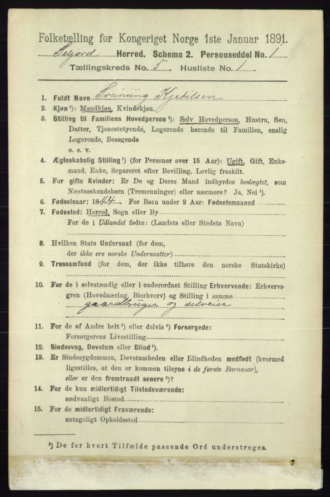 RA, 1891 census for 0828 Seljord, 1891, p. 1801