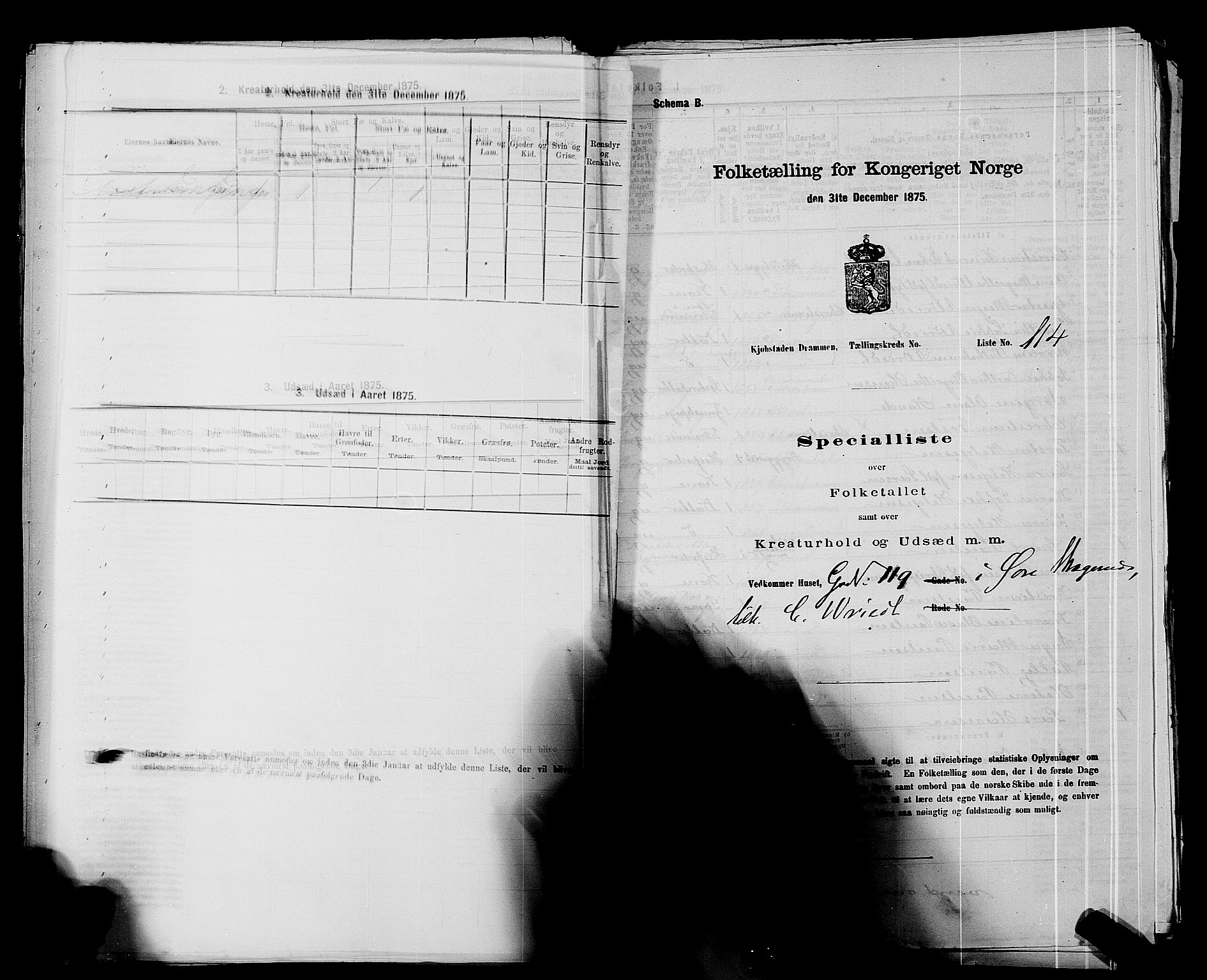 SAKO, 1875 census for 0602 Drammen, 1875, p. 356