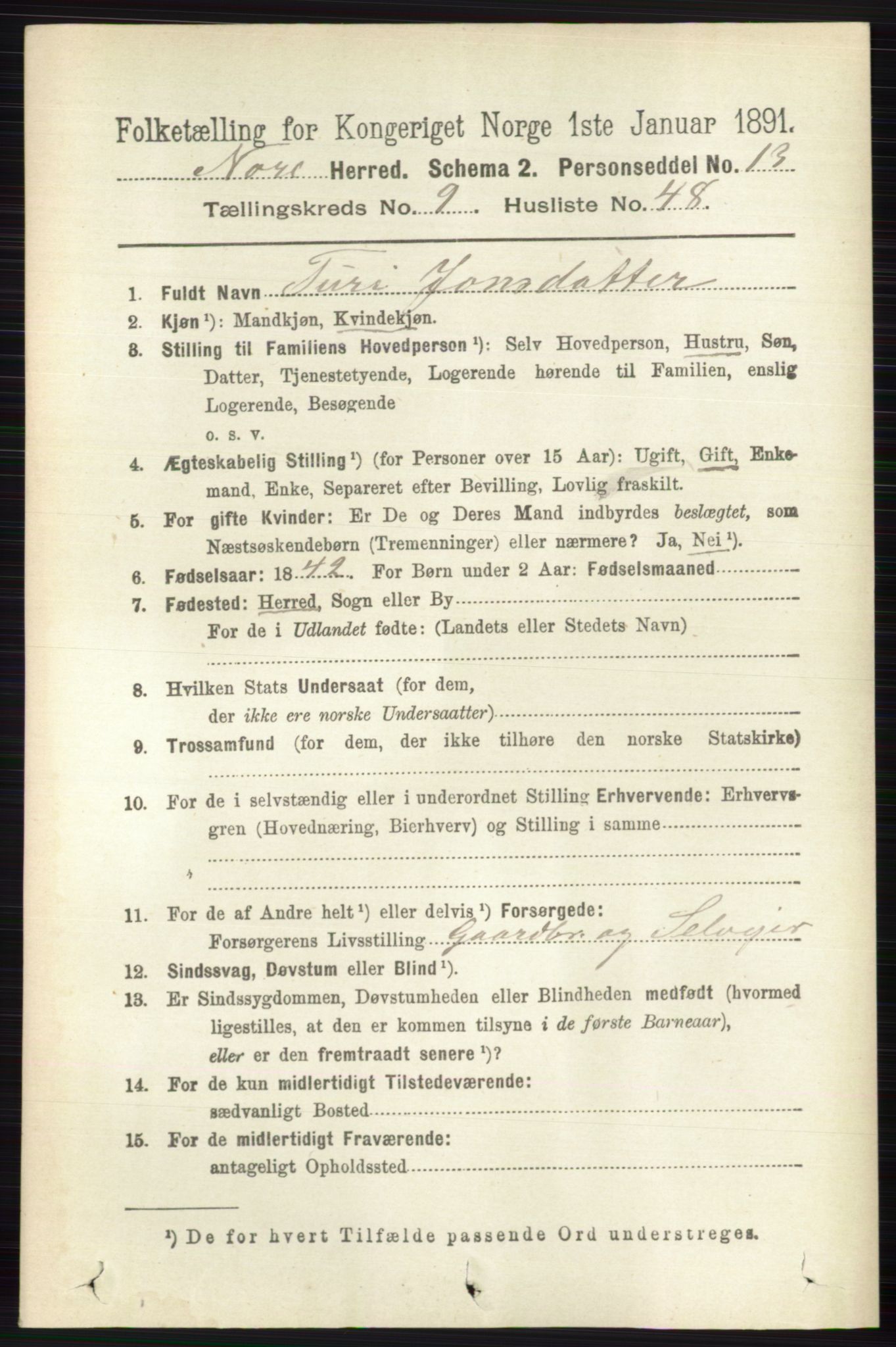 RA, 1891 census for 0633 Nore, 1891, p. 3501