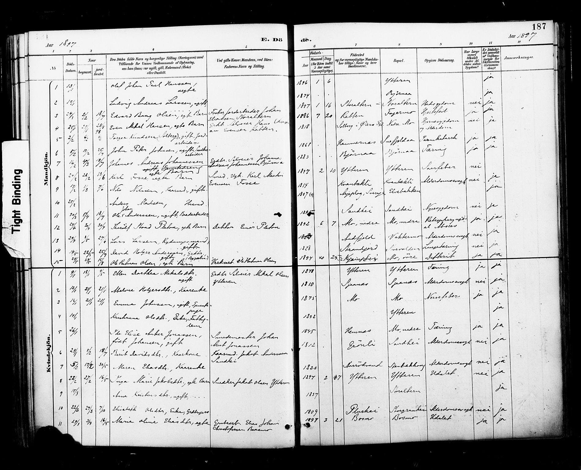 Ministerialprotokoller, klokkerbøker og fødselsregistre - Nordland, SAT/A-1459/827/L0401: Parish register (official) no. 827A13, 1887-1905, p. 187