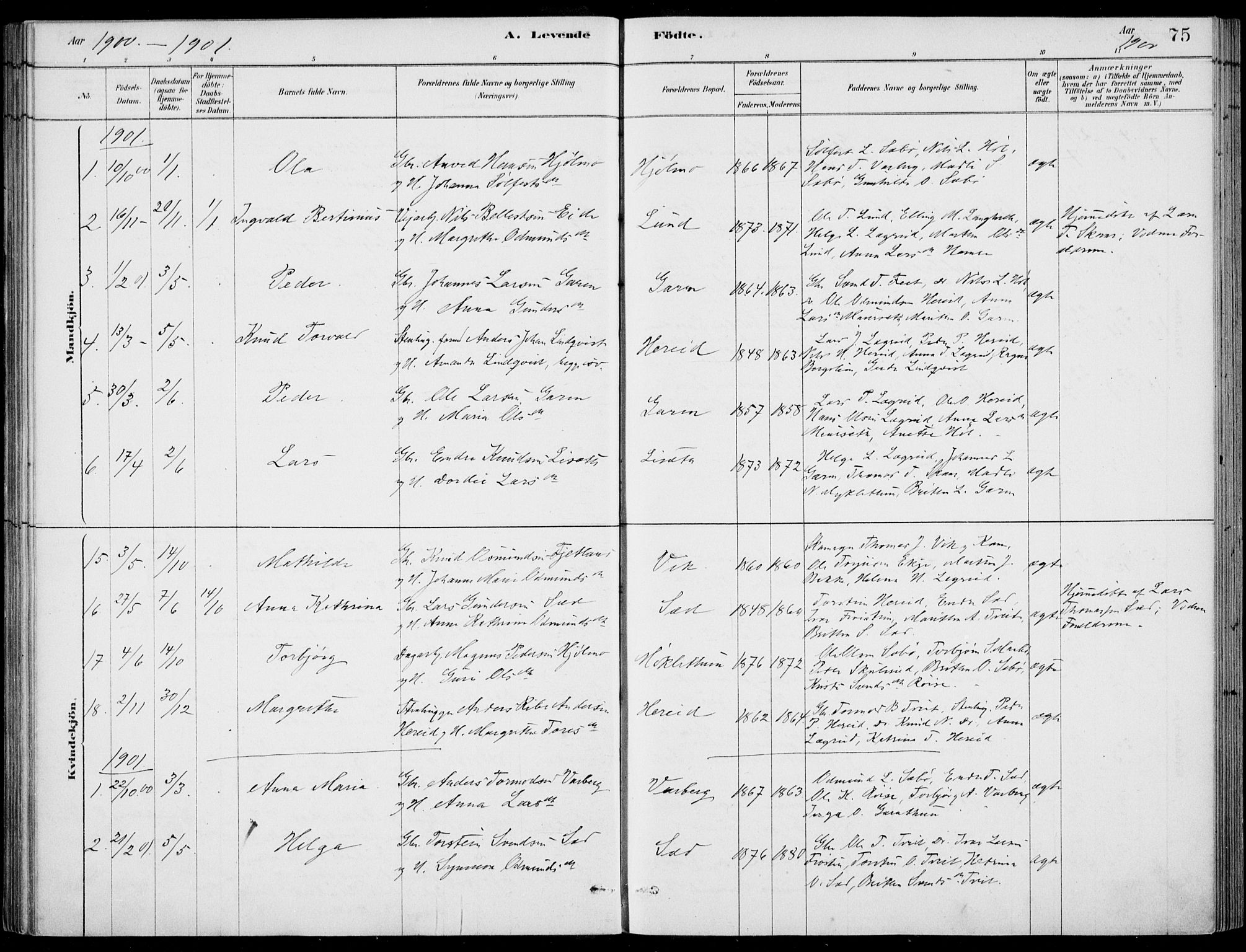 Ulvik sokneprestembete, AV/SAB-A-78801/H/Haa: Parish register (official) no. D  1, 1878-1903, p. 75