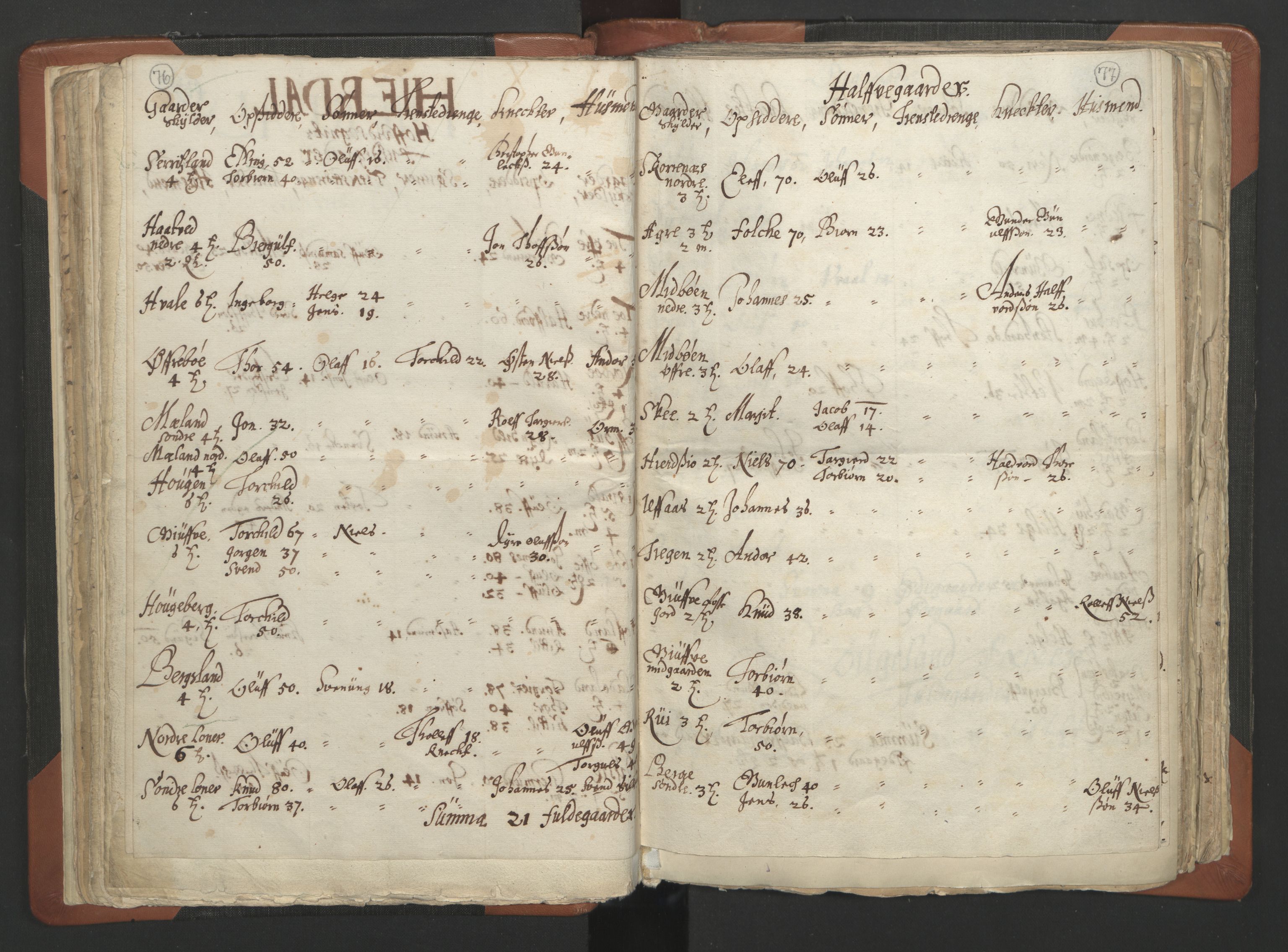 RA, Vicar's Census 1664-1666, no. 12: Øvre Telemark deanery, Nedre Telemark deanery and Bamble deanery, 1664-1666, p. 76-77