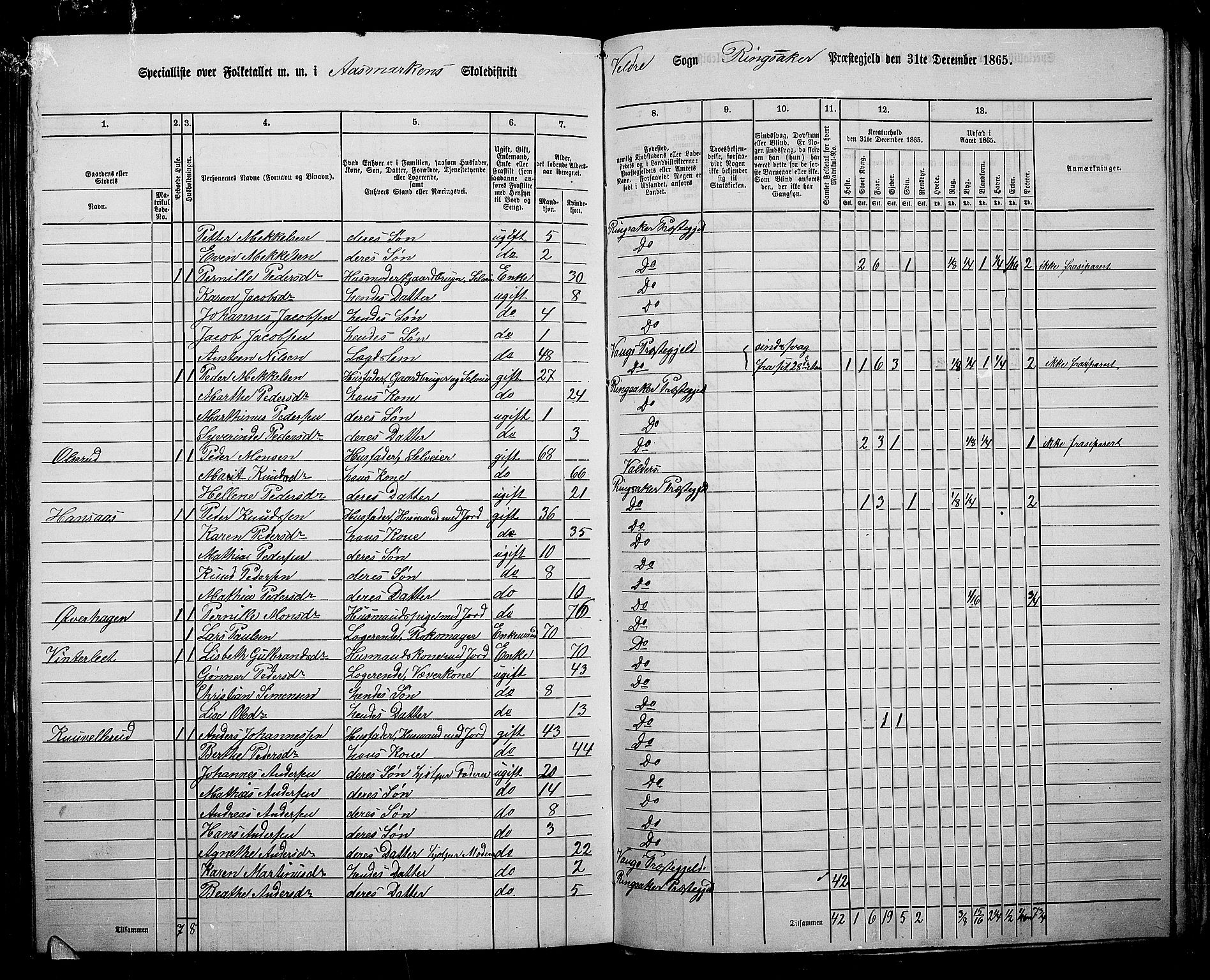 RA, 1865 census for Ringsaker, 1865, p. 211