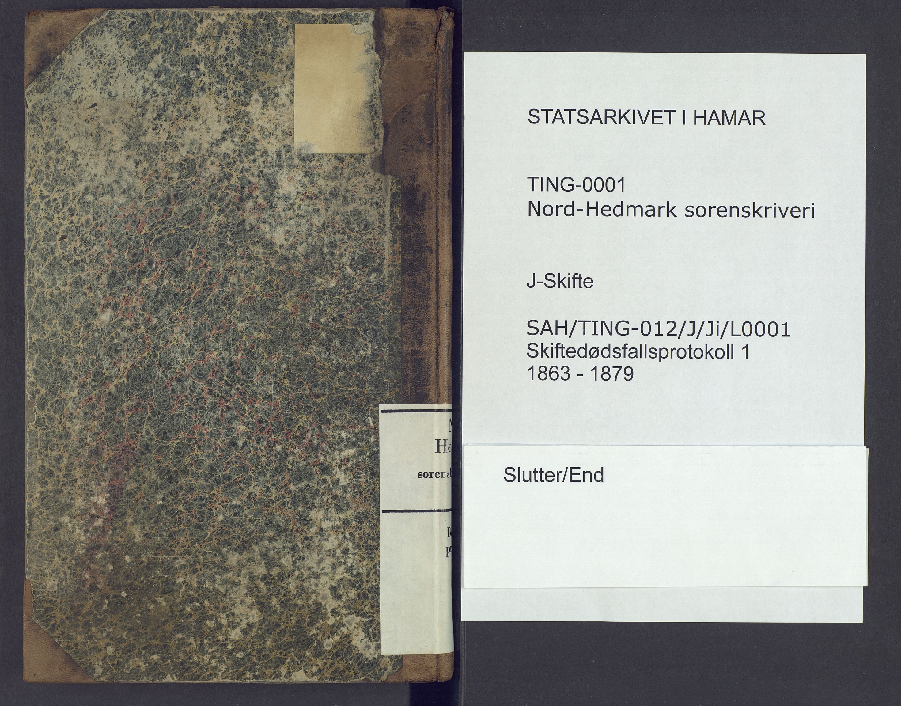 Nord-Hedmark sorenskriveri, SAH/TING-012/J/Ji/L0001: Dødsfallsprotokoll, 1863-1879