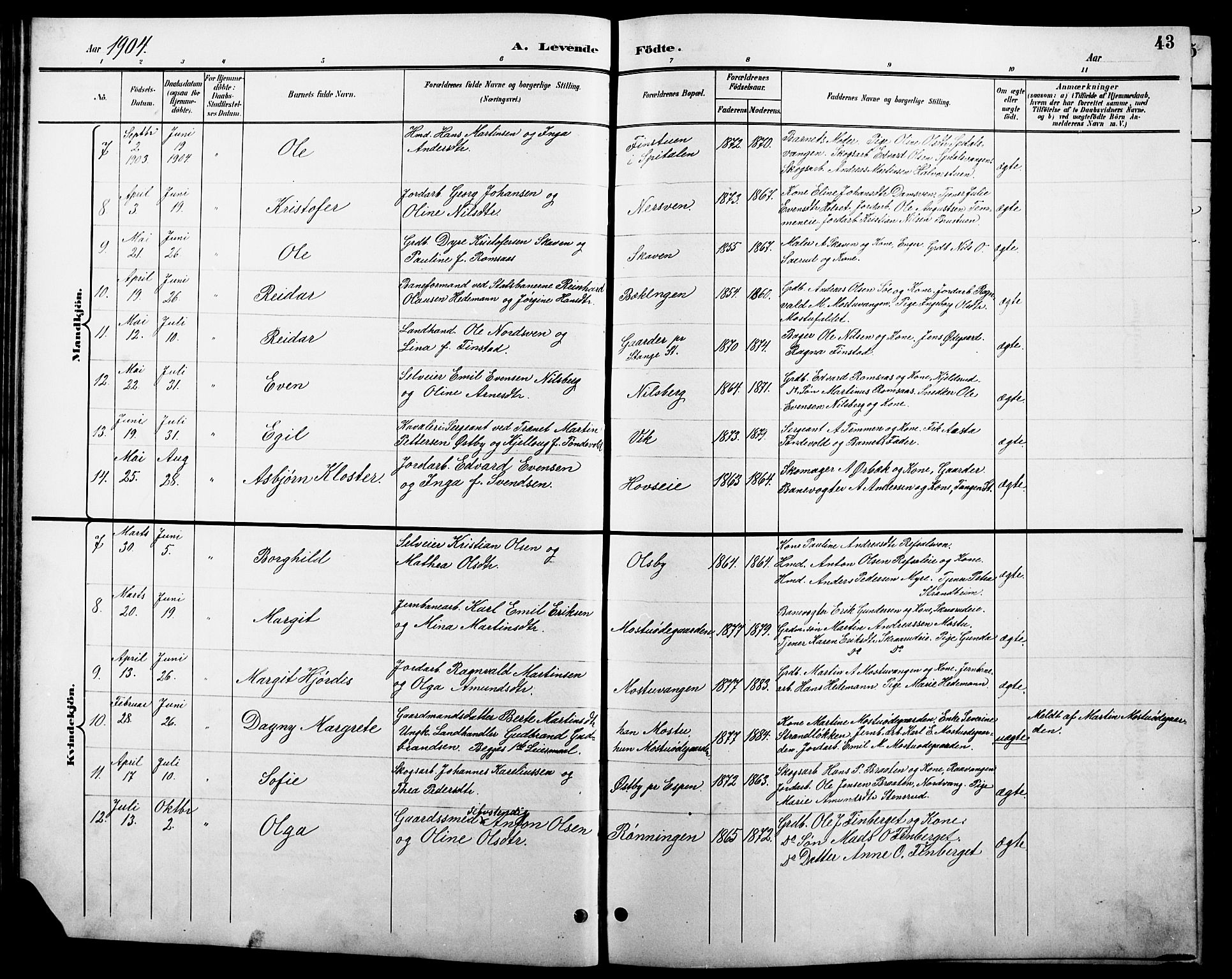Stange prestekontor, SAH/PREST-002/L/L0011: Parish register (copy) no. 11, 1895-1917, p. 43