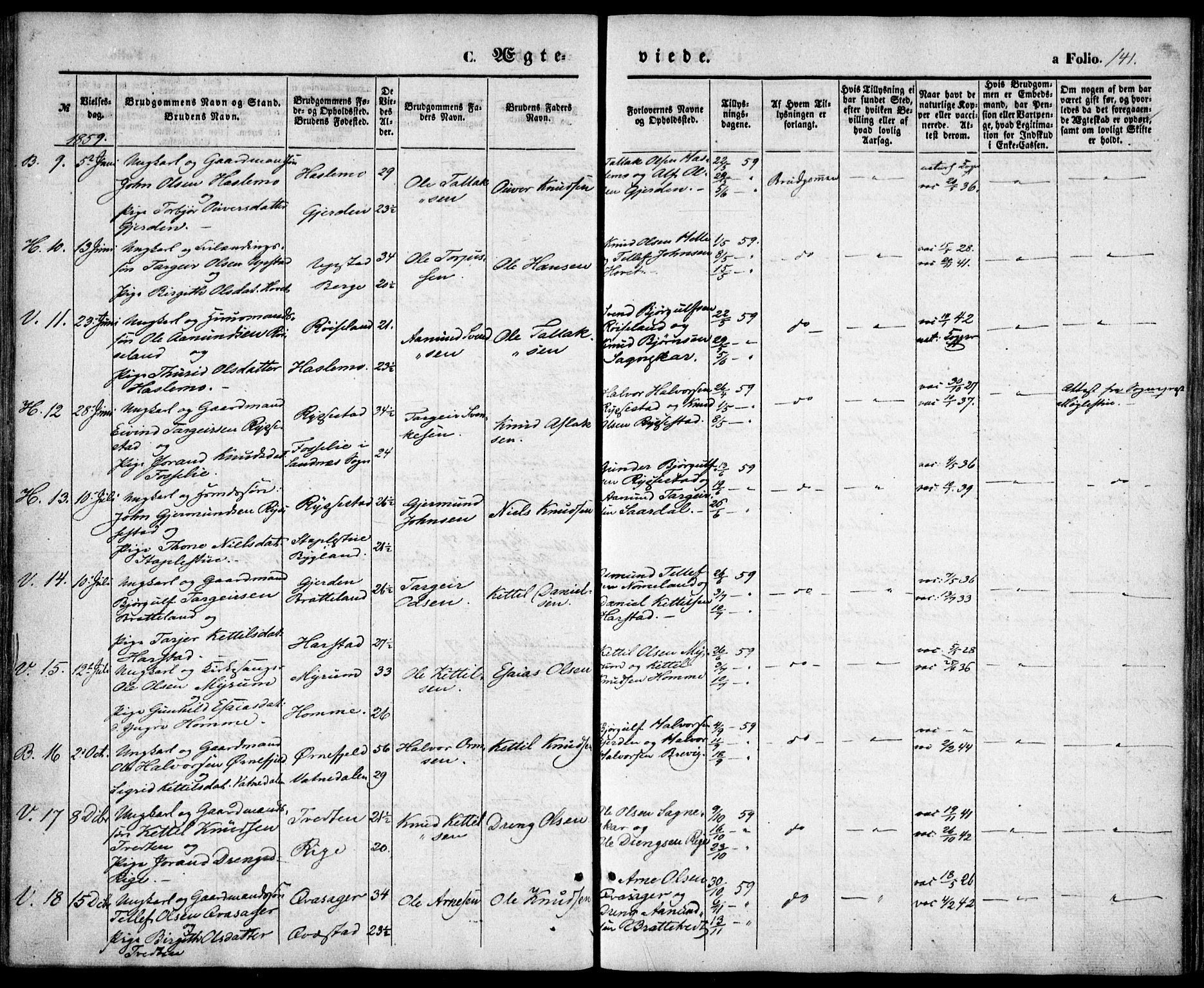 Valle sokneprestkontor, SAK/1111-0044/F/Fa/Fac/L0007: Parish register (official) no. A 7, 1854-1868, p. 141