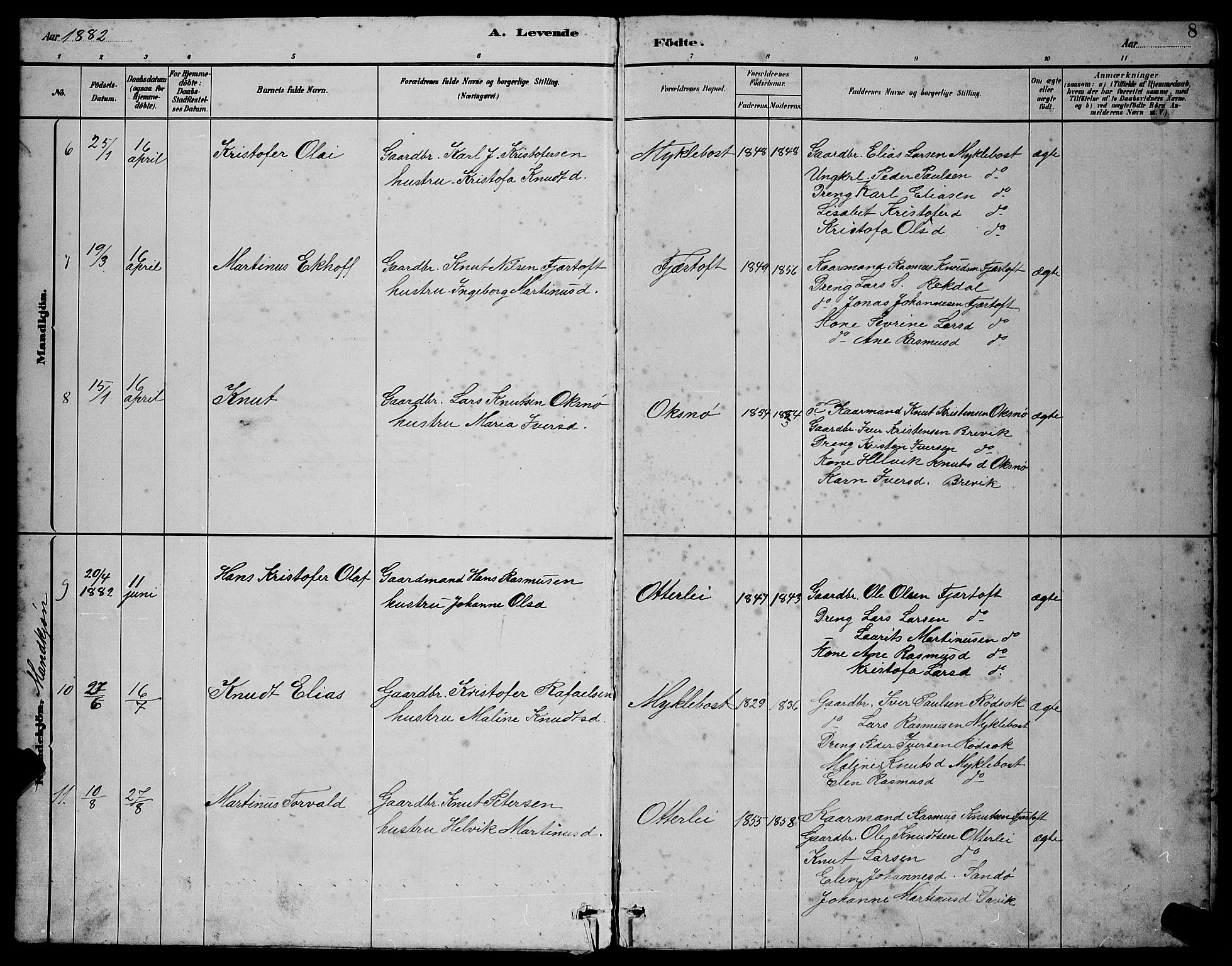 Ministerialprotokoller, klokkerbøker og fødselsregistre - Møre og Romsdal, AV/SAT-A-1454/538/L0523: Parish register (copy) no. 538C01, 1881-1900, p. 8