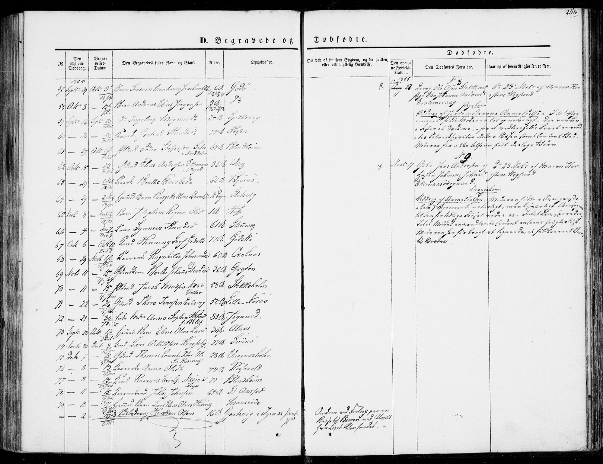 Ministerialprotokoller, klokkerbøker og fødselsregistre - Møre og Romsdal, AV/SAT-A-1454/528/L0397: Parish register (official) no. 528A08, 1848-1858, p. 256