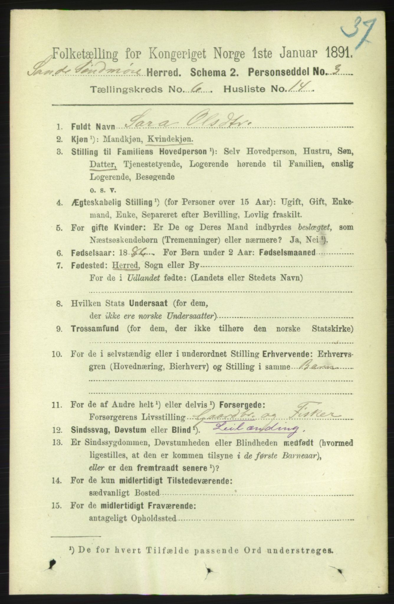 RA, 1891 census for 1514 Sande, 1891, p. 1125