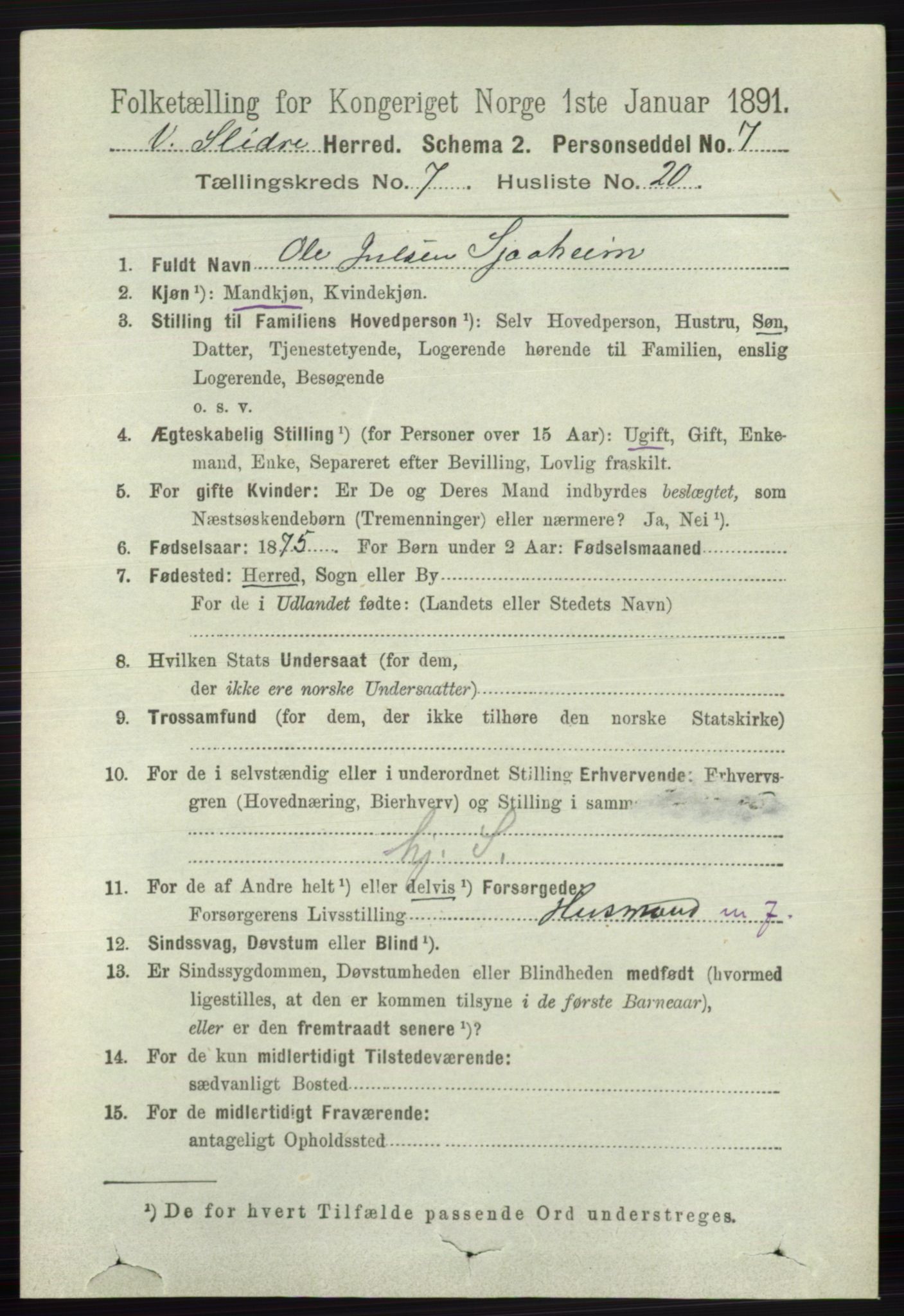 RA, 1891 census for 0543 Vestre Slidre, 1891, p. 2703