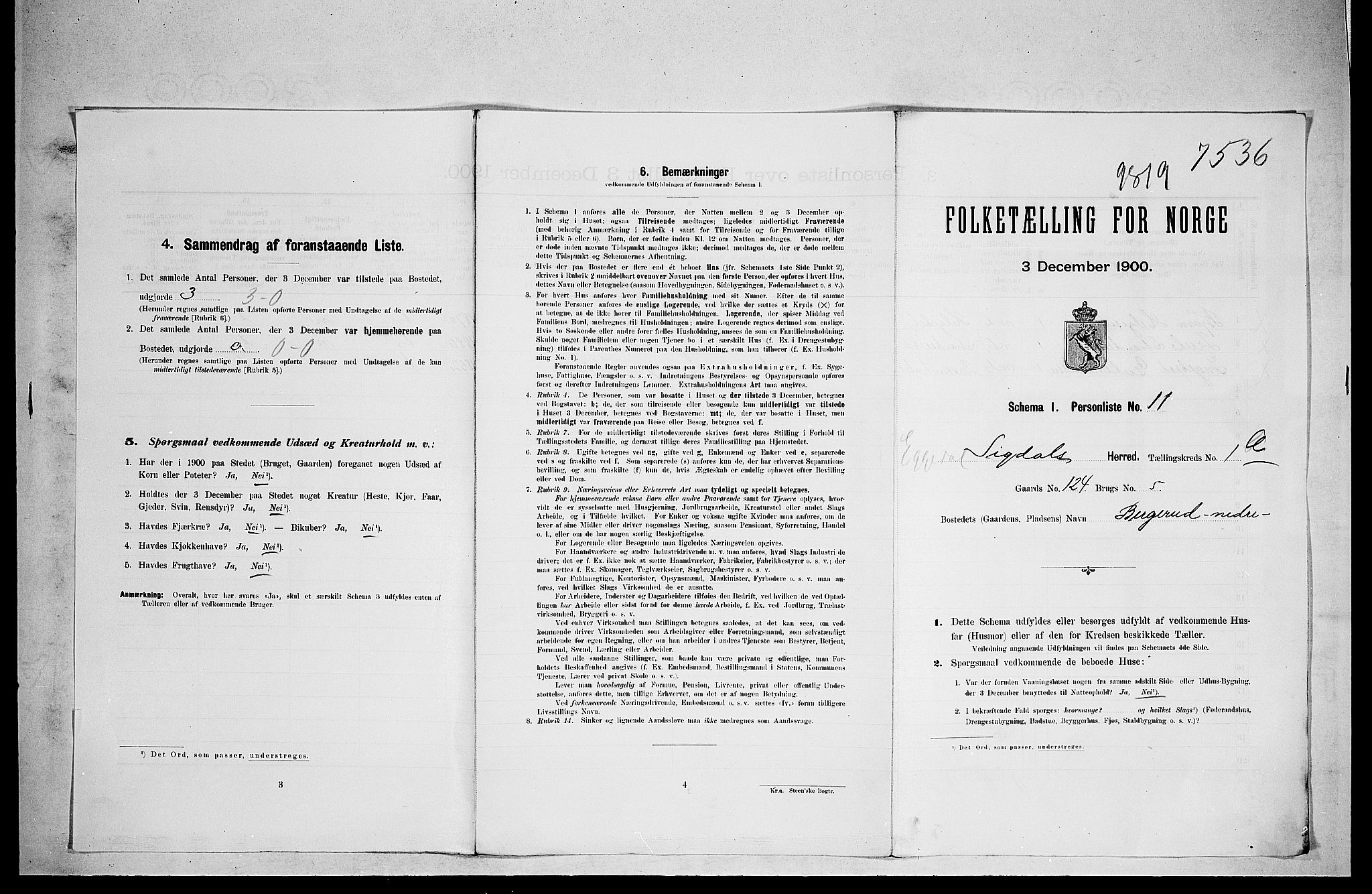 RA, 1900 census for Sigdal, 1900, p. 1820