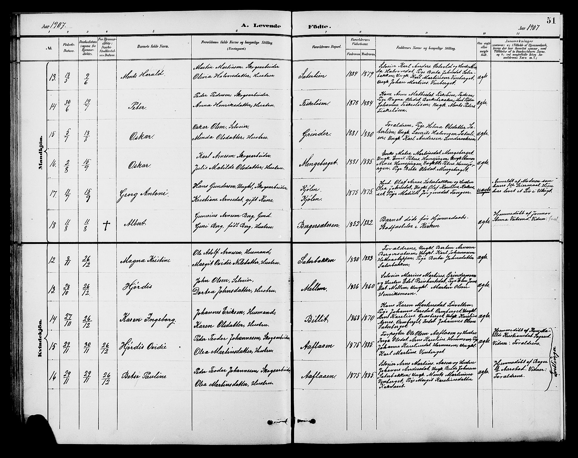 Brandval prestekontor, AV/SAH-PREST-034/H/Ha/Hab/L0001: Parish register (copy) no. 1, 1895-1910, p. 51