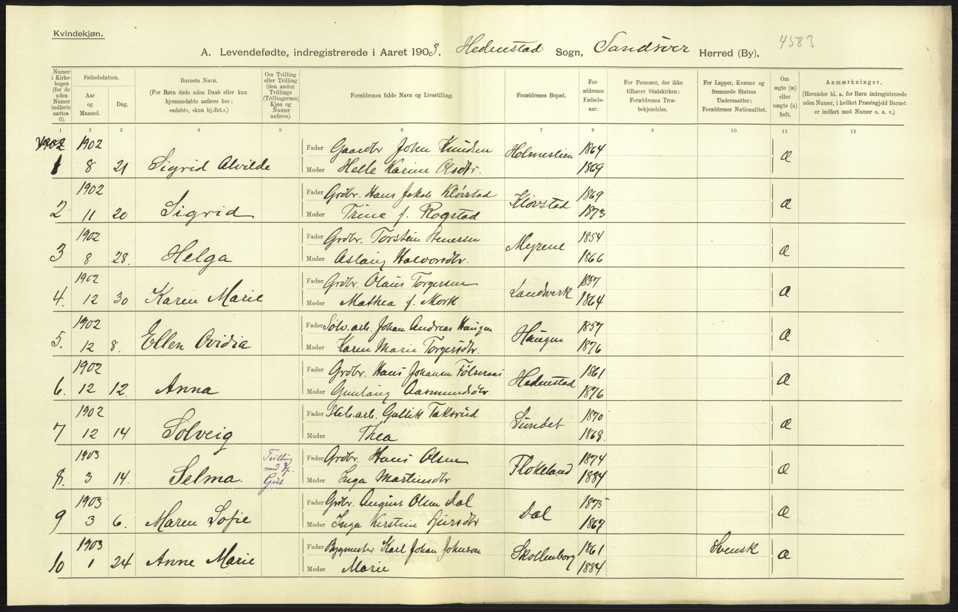 Statistisk sentralbyrå, Sosiodemografiske emner, Befolkning, AV/RA-S-2228/D/Df/Dfa/Dfaa/L0007: Buskeruds amt: Fødte, gifte, døde, 1903, p. 45