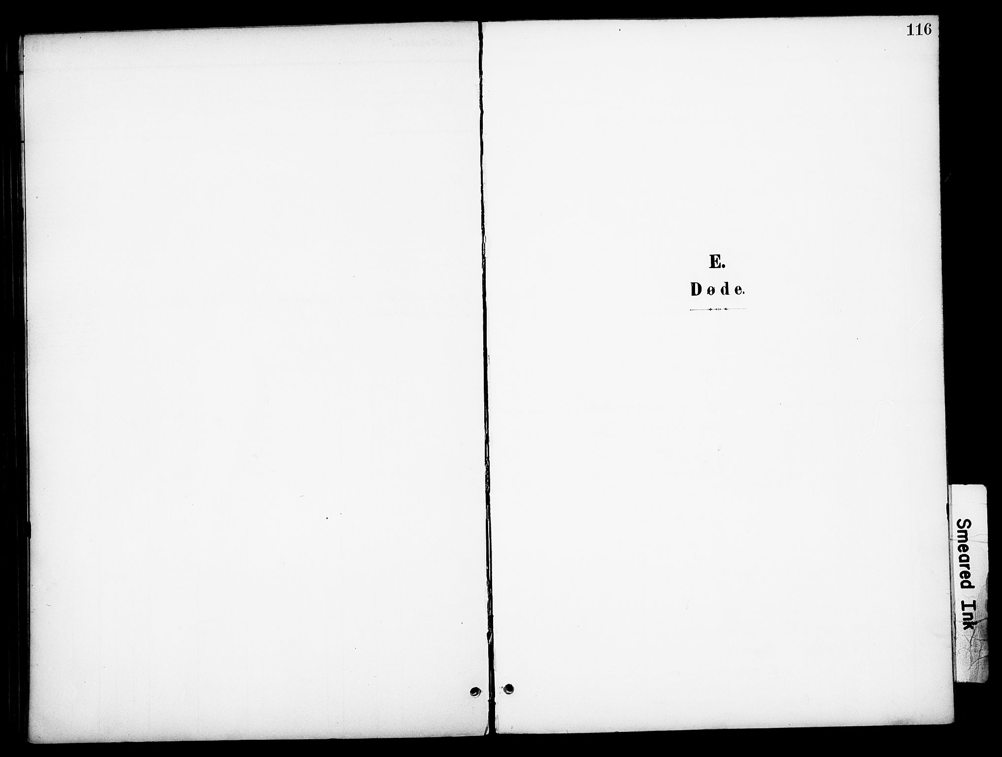 Åmot prestekontor, Hedmark, SAH/PREST-056/H/Ha/Haa/L0013: Parish register (official) no. 13, 1898-1906, p. 116