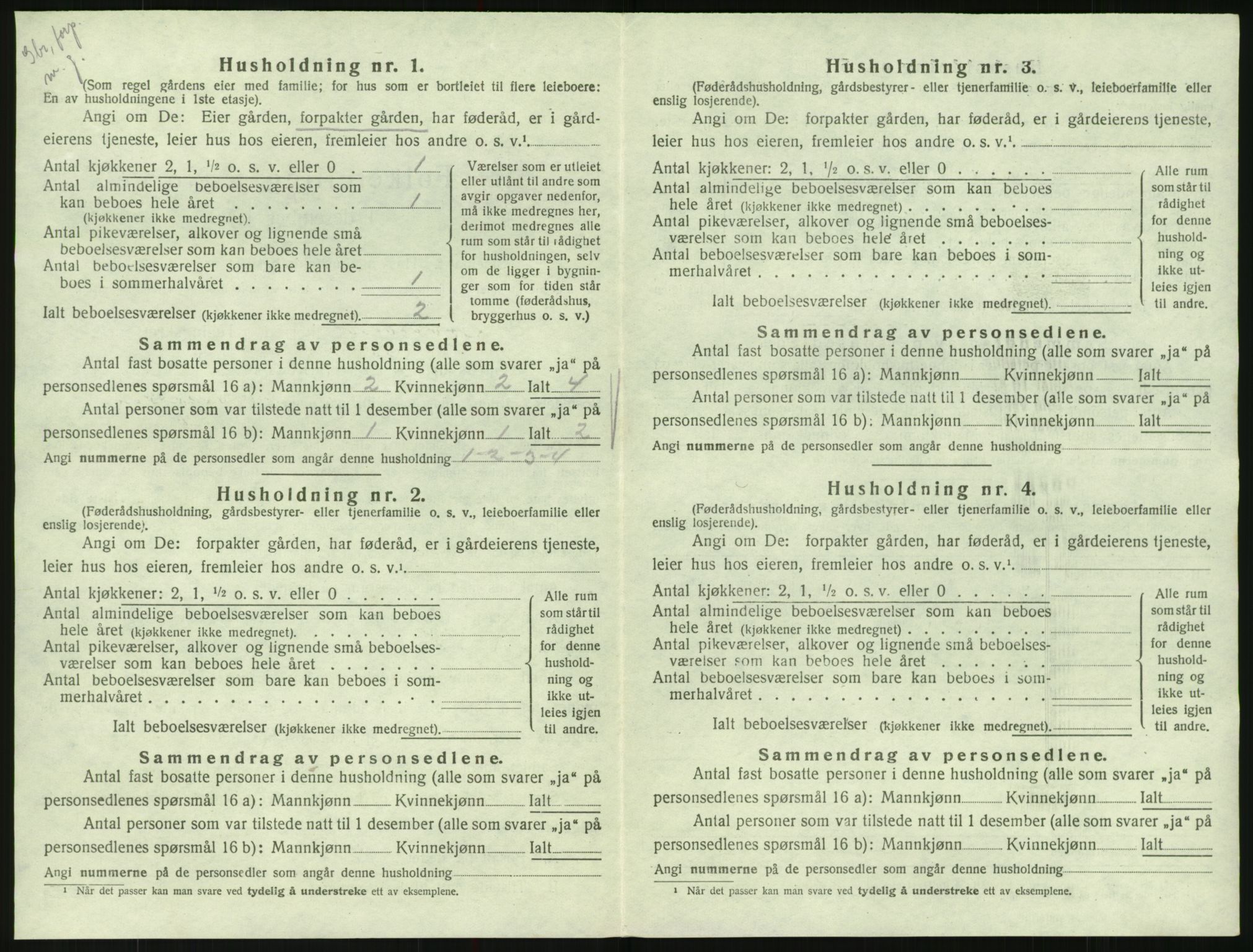 SAK, 1920 census for Hornnes, 1920, p. 552