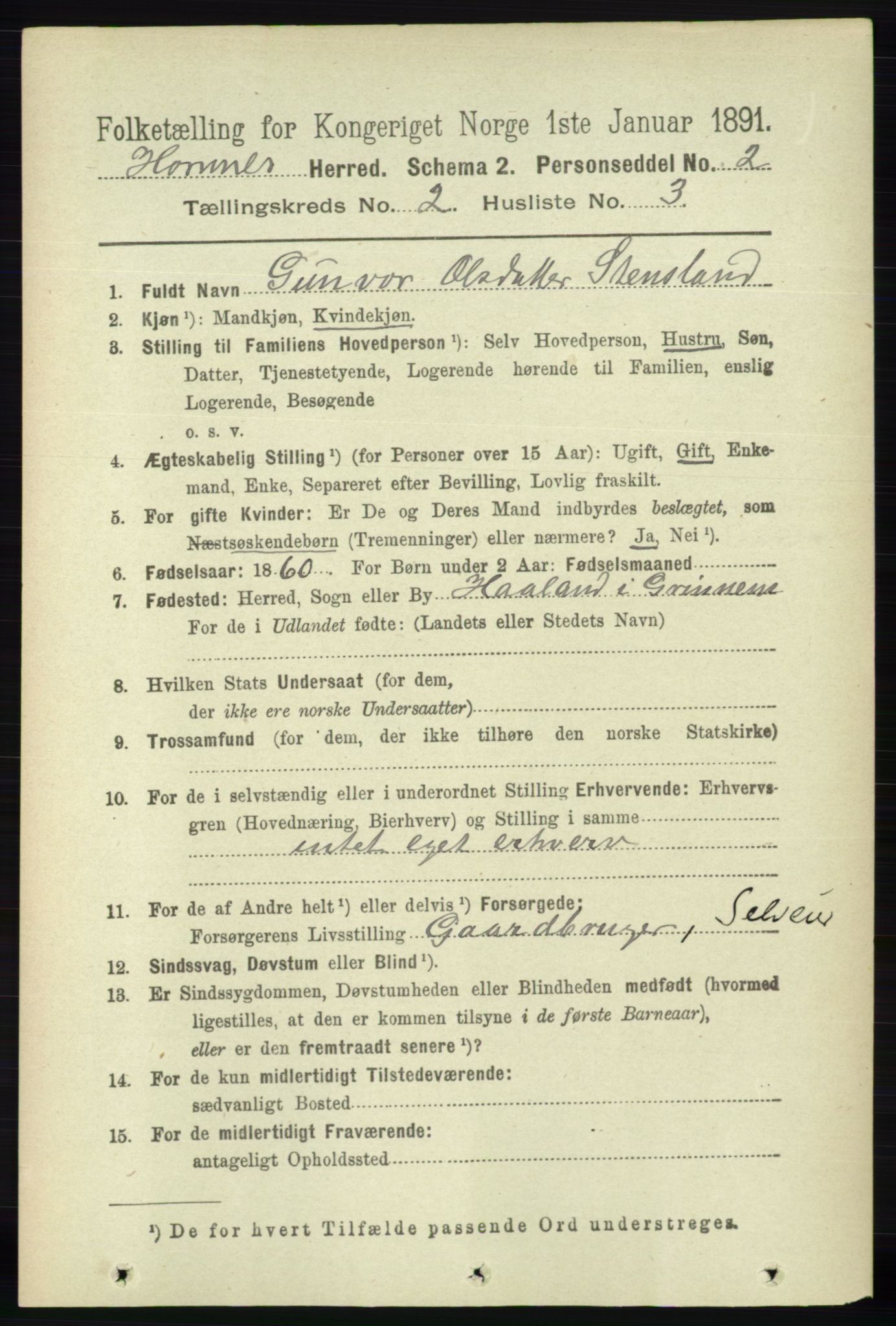 RA, 1891 census for 0936 Hornnes, 1891, p. 224