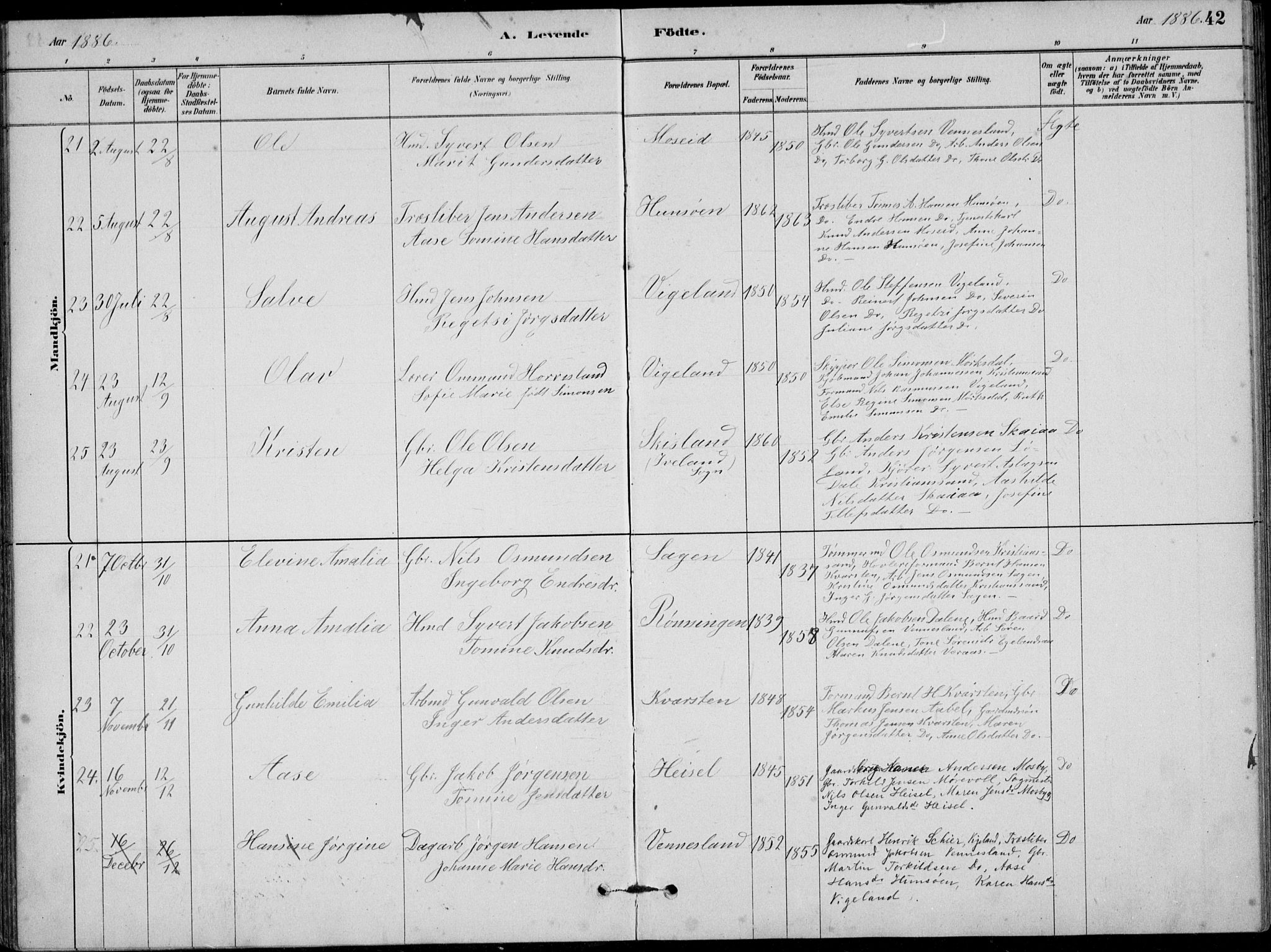 Vennesla sokneprestkontor, AV/SAK-1111-0045/Fb/Fbb/L0003: Parish register (copy) no. B 3, 1879-1893, p. 42