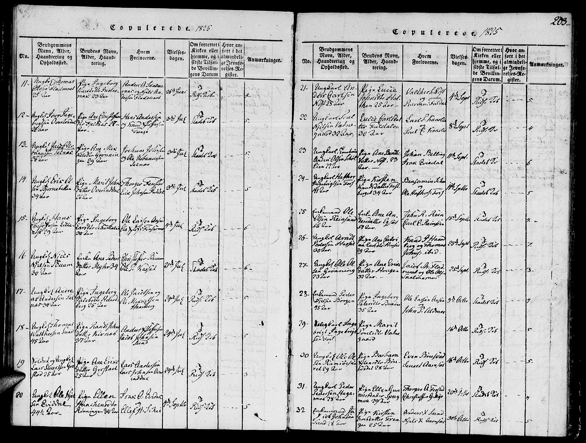 Ministerialprotokoller, klokkerbøker og fødselsregistre - Sør-Trøndelag, SAT/A-1456/646/L0608: Parish register (official) no. 646A06, 1816-1825, p. 203
