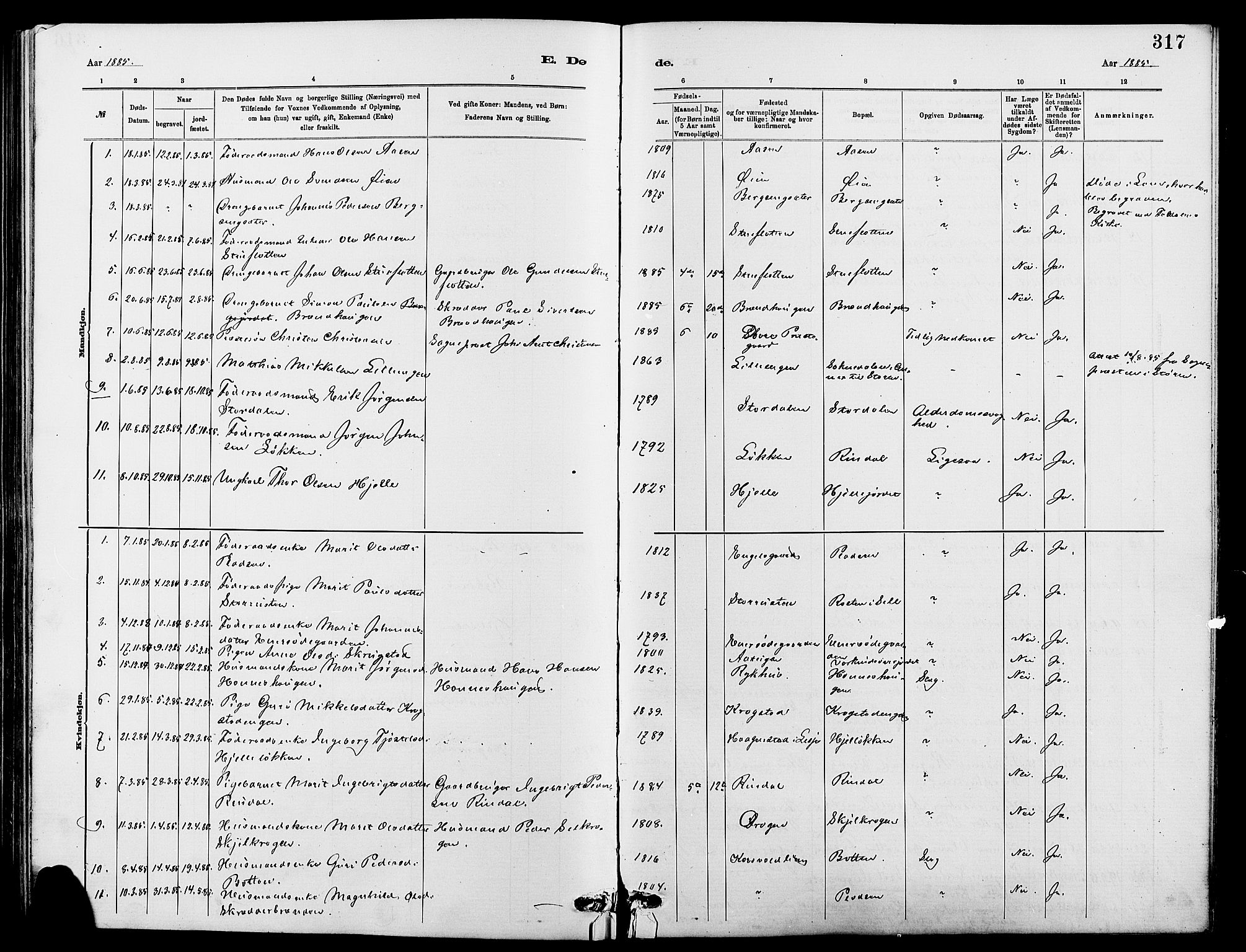 Dovre prestekontor, AV/SAH-PREST-066/H/Ha/Hab/L0002: Parish register (copy) no. 2, 1881-1907, p. 317