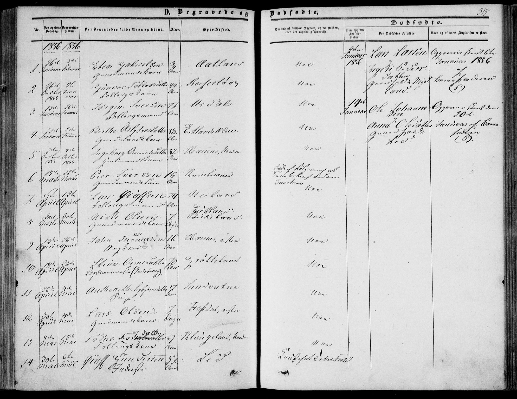 Bakke sokneprestkontor, SAK/1111-0002/F/Fa/Fab/L0002: Parish register (official) no. A 2, 1855-1884, p. 315