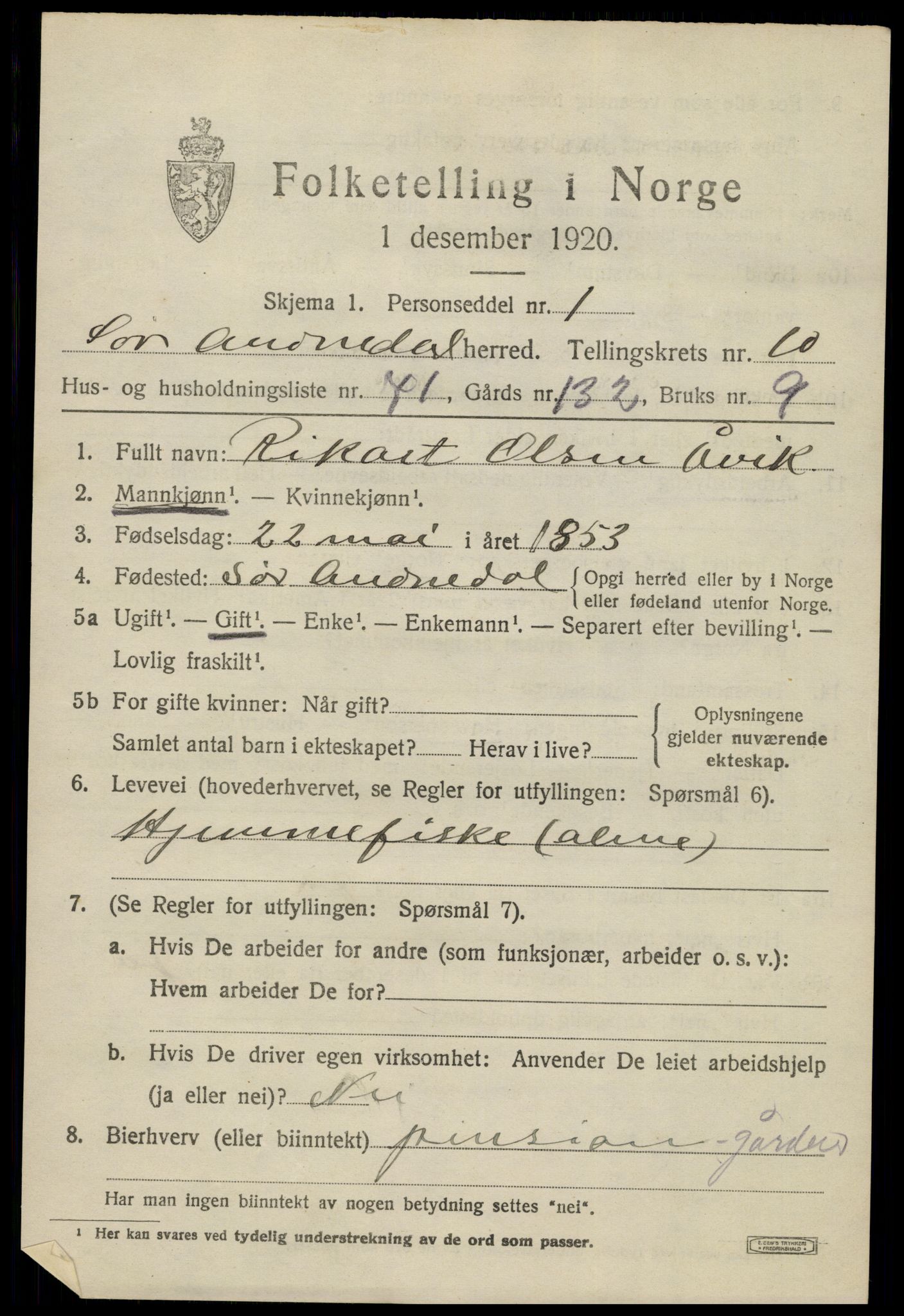 SAK, 1920 census for Sør-Audnedal, 1920, p. 4183