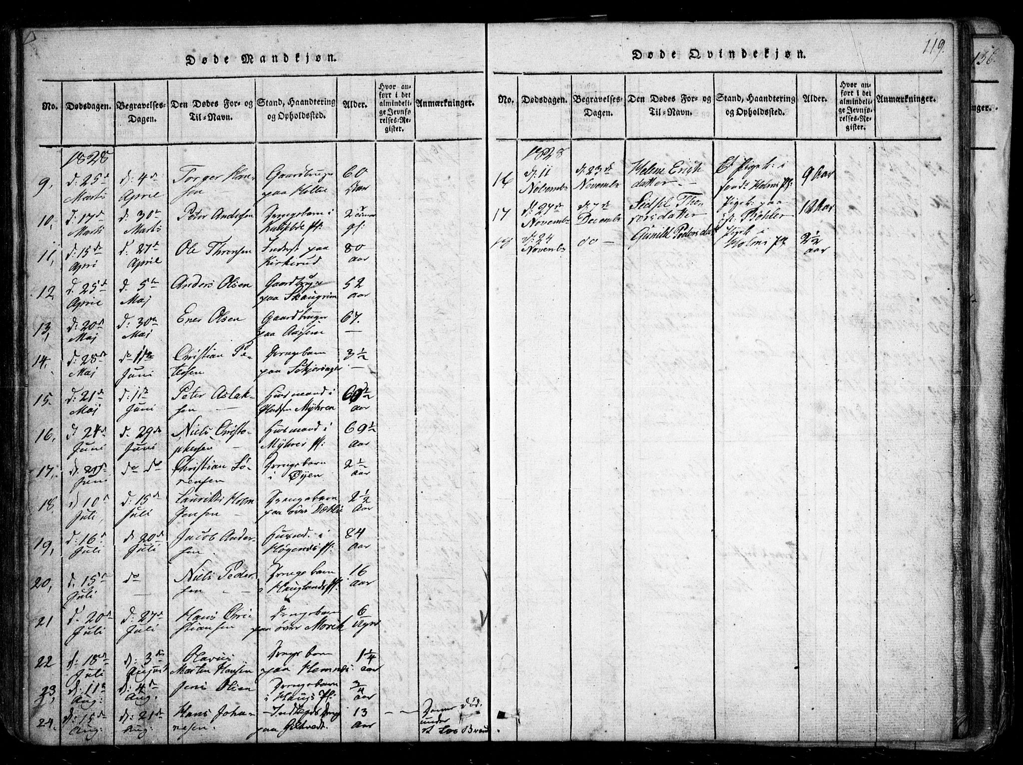 Spydeberg prestekontor Kirkebøker, AV/SAO-A-10924/G/Ga/L0001: Parish register (copy) no. I 1, 1814-1868, p. 119