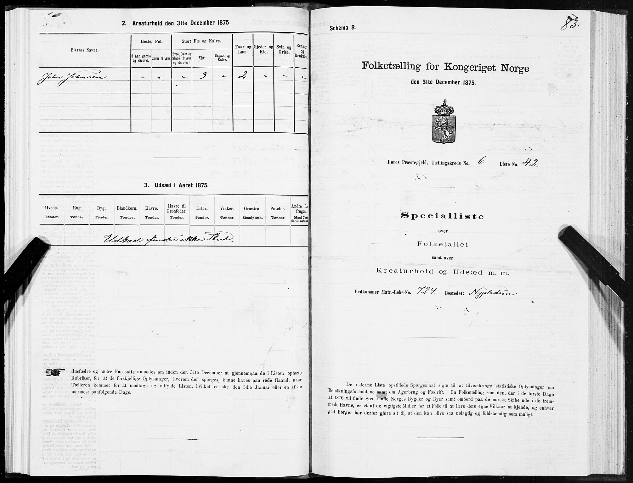 SAT, 1875 census for 1640P Røros, 1875, p. 4083