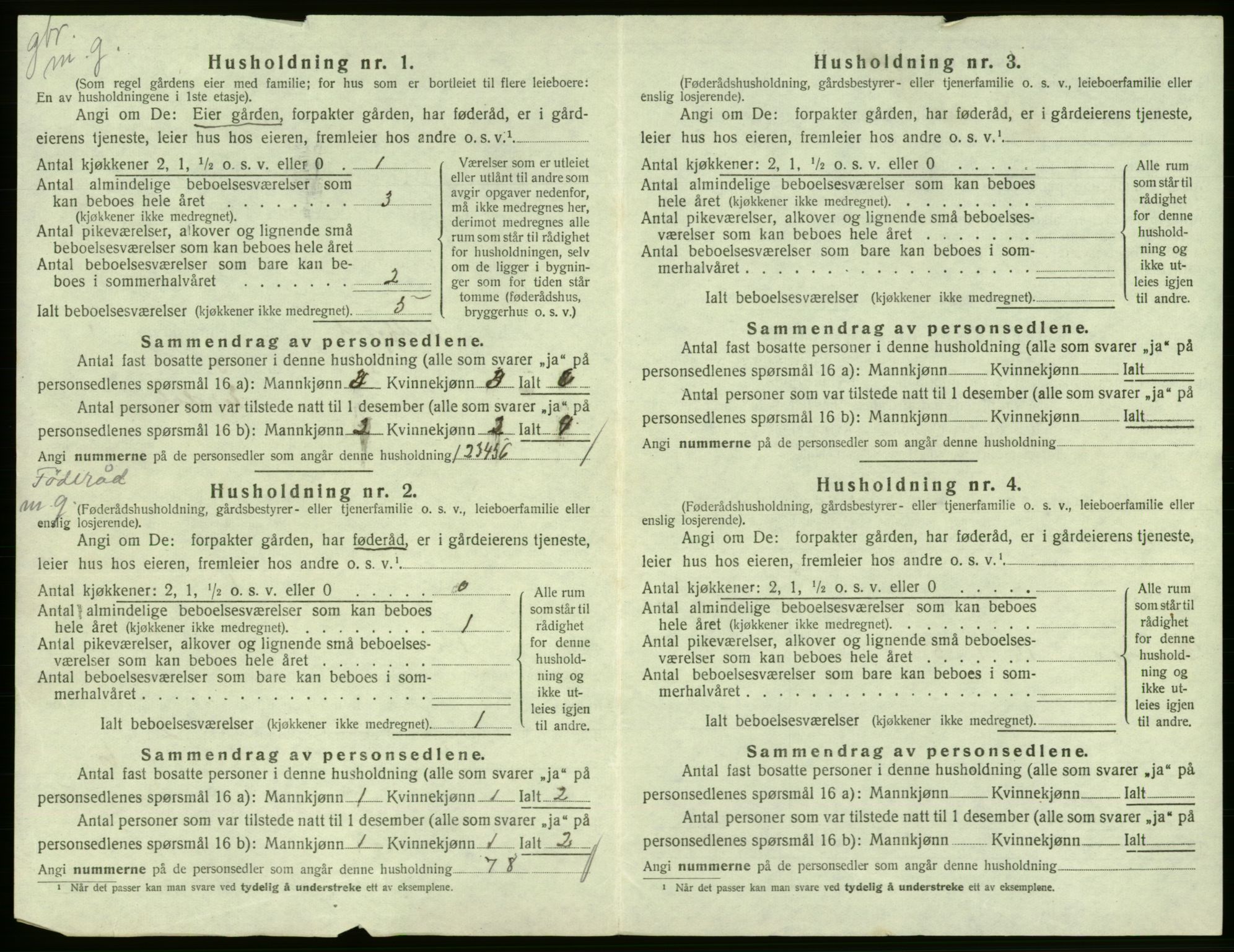 SAB, 1920 census for Eidfjord, 1920, p. 29